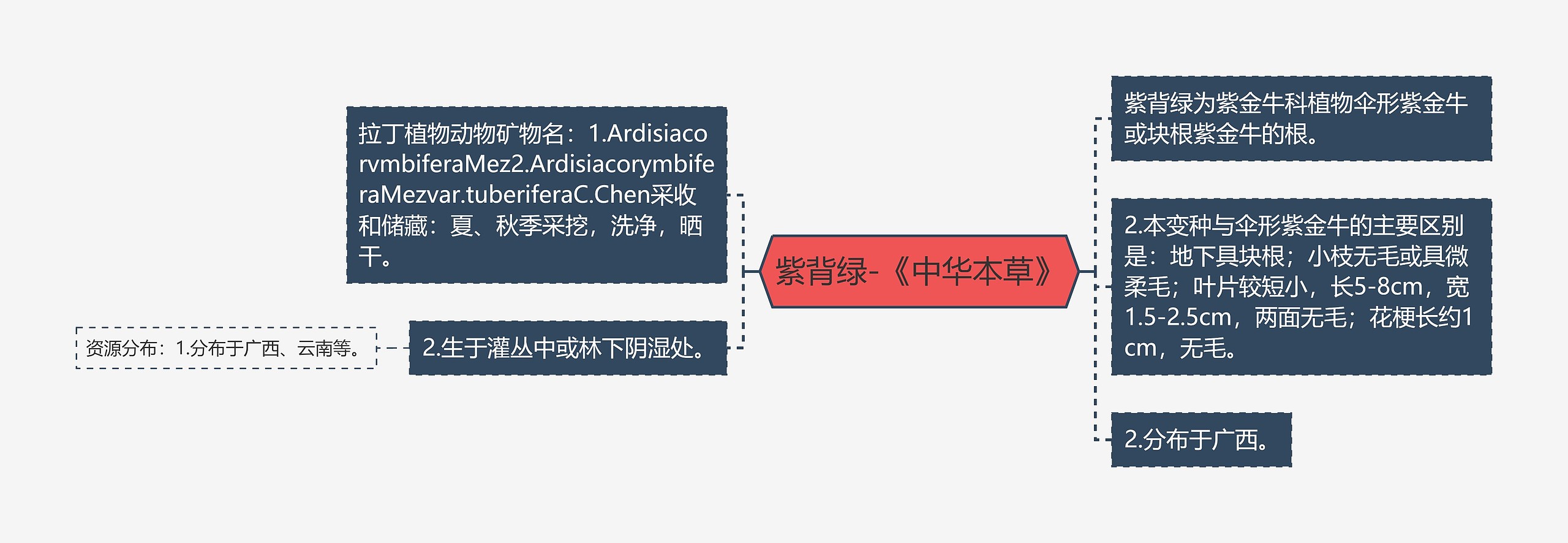 紫背绿-《中华本草》 紫背绿-《中华本草》