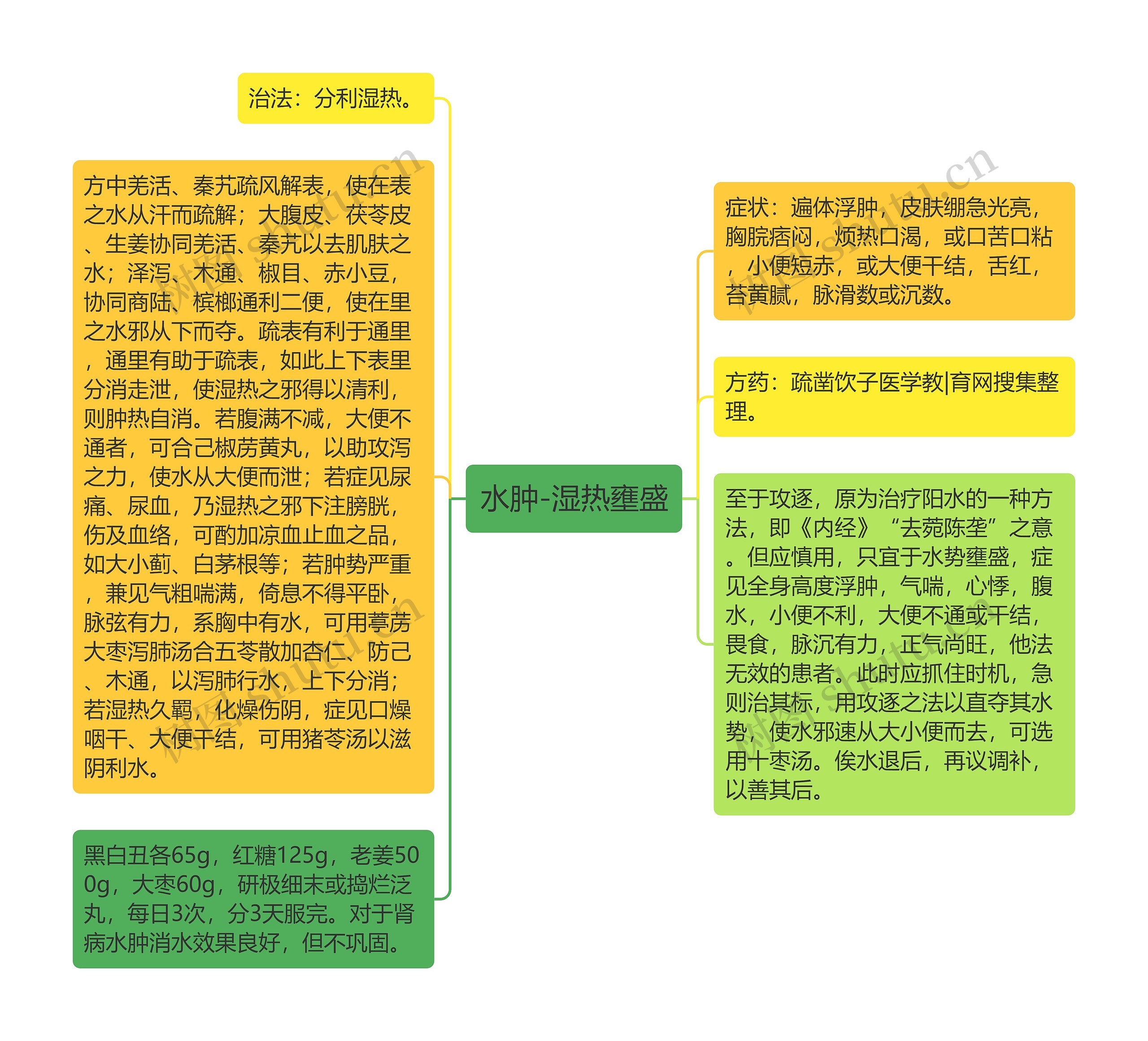 水肿-湿热壅盛思维导图