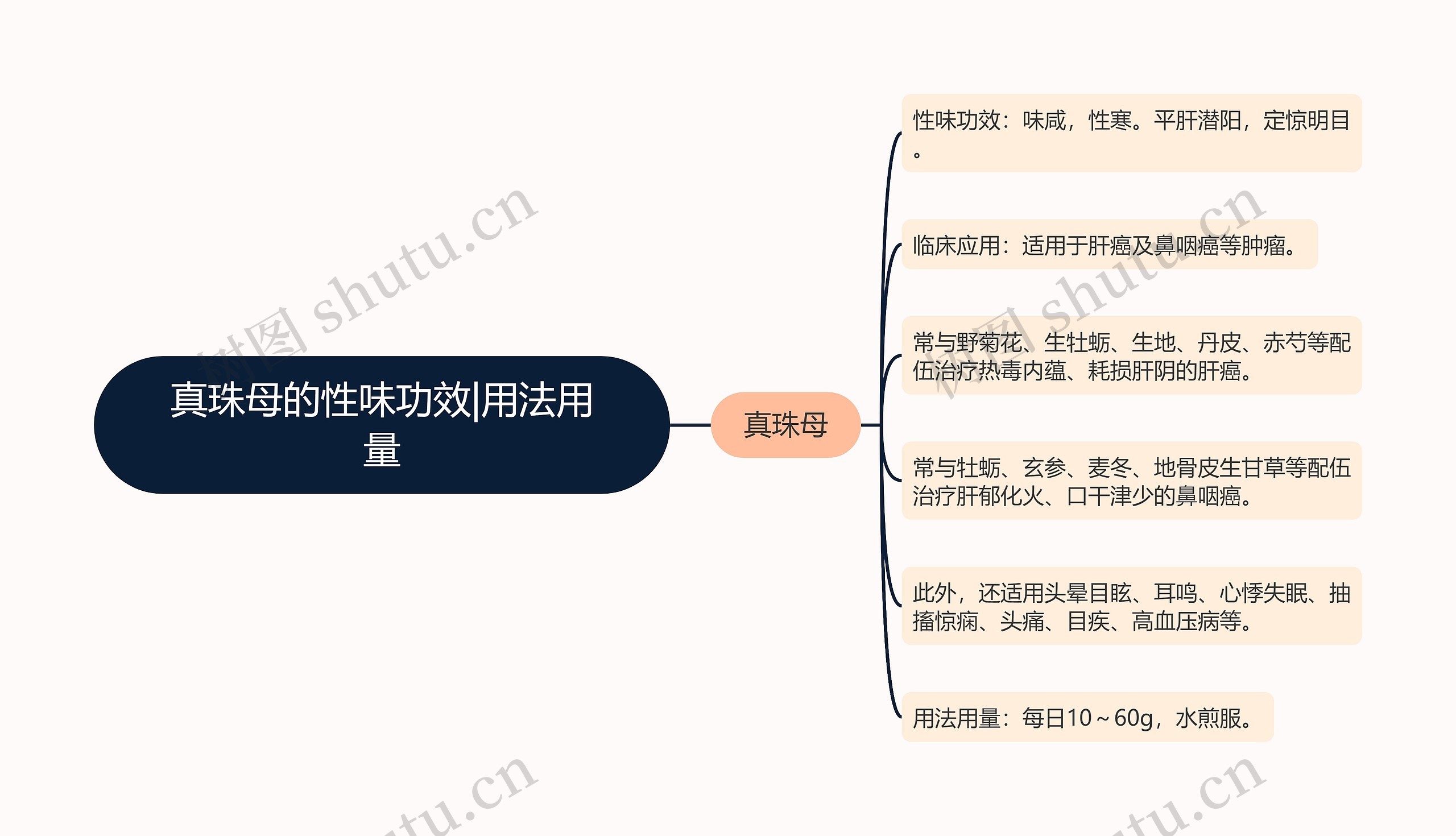 真珠母的性味功效|用法用量思维导图