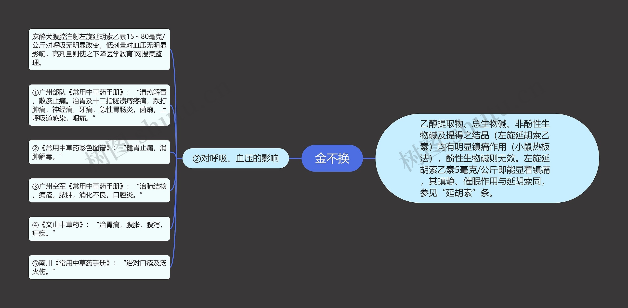 金不换思维导图