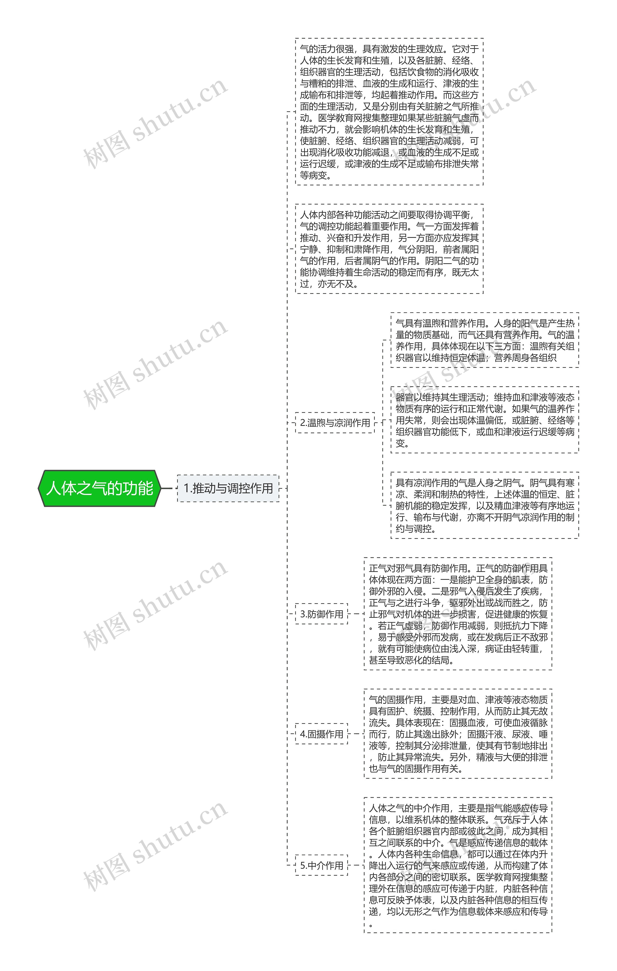 人体之气的功能