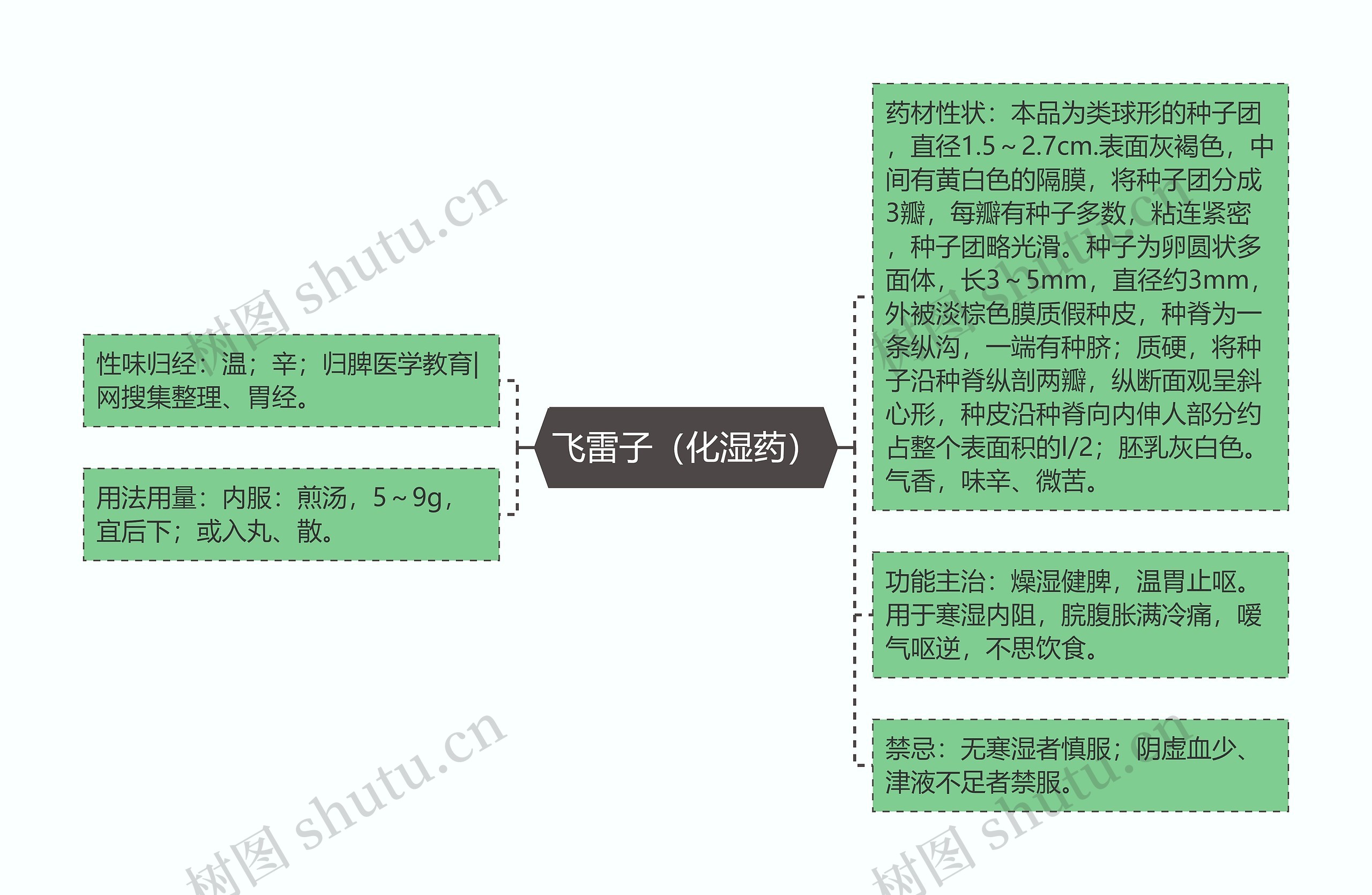 飞雷子（化湿药）思维导图