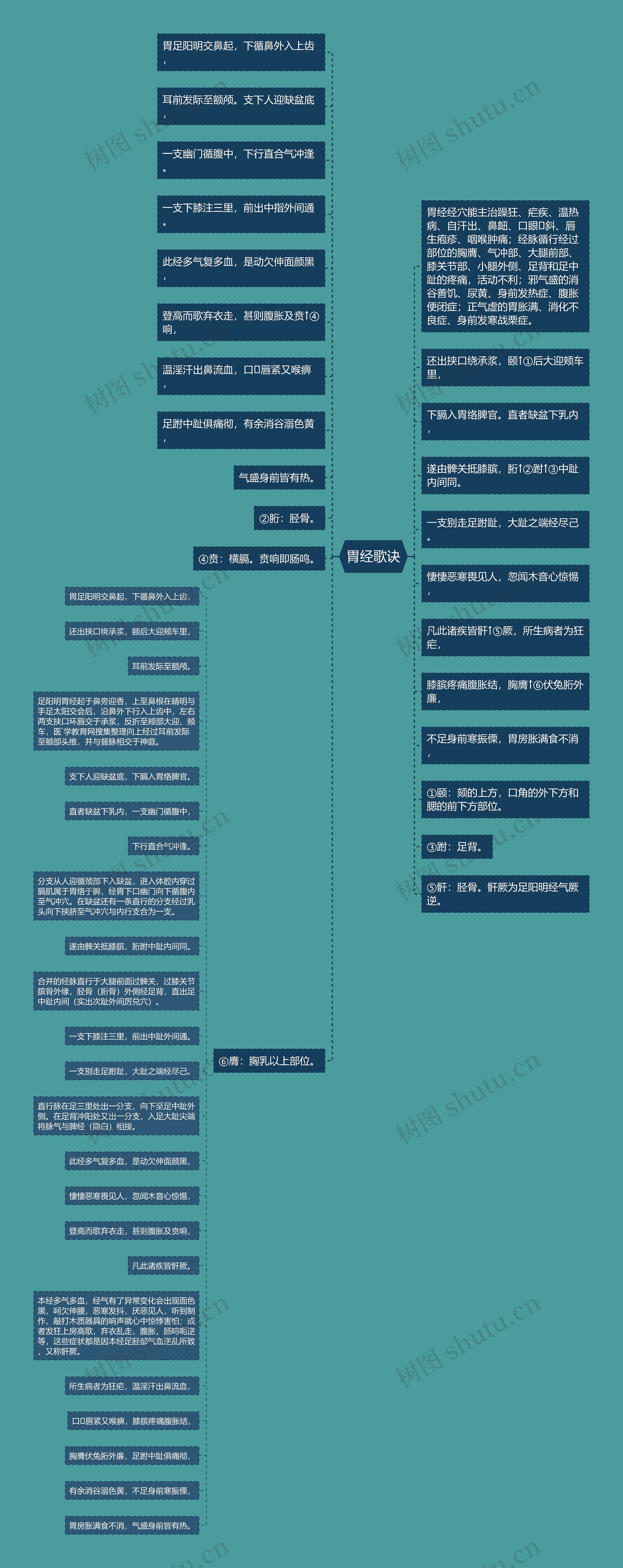 胃经歌诀思维导图