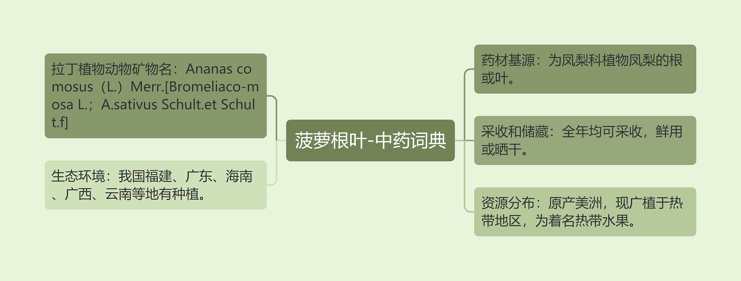 菠萝根叶-中药词典思维导图