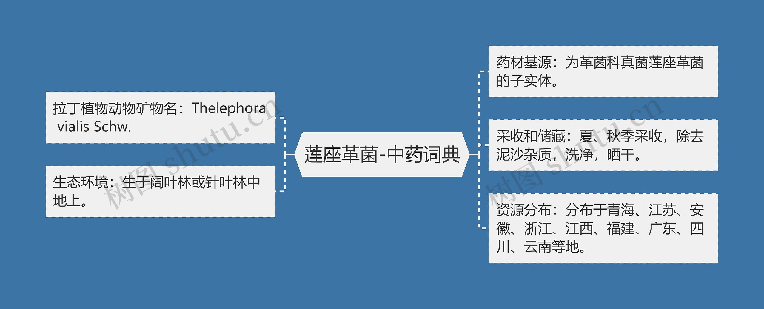 莲座革菌-中药词典思维导图