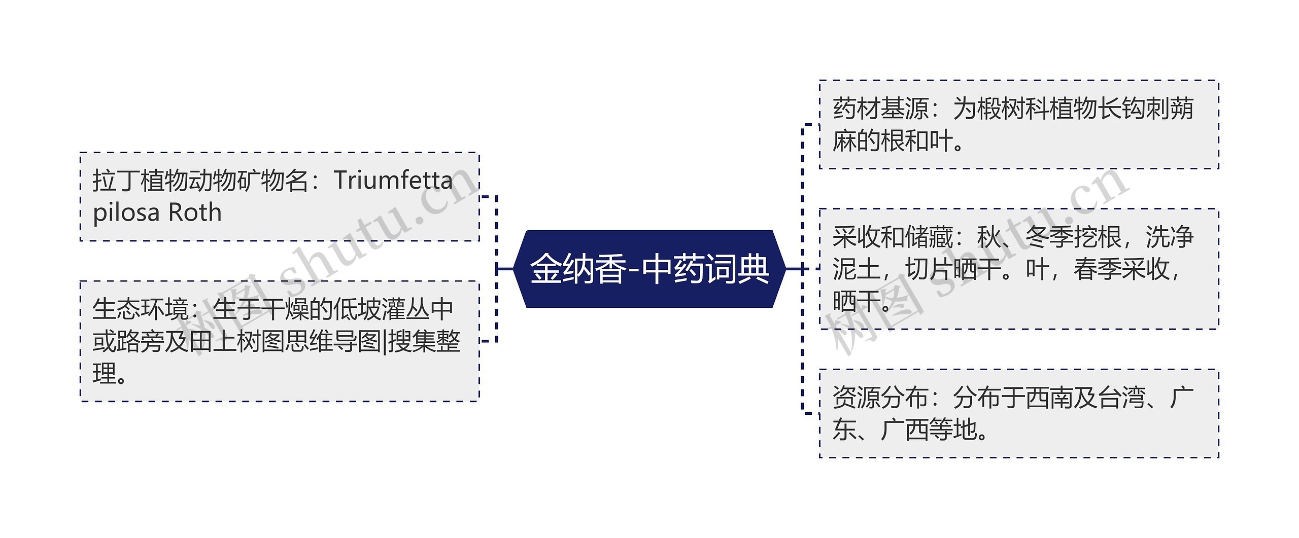 金纳香-中药词典思维导图