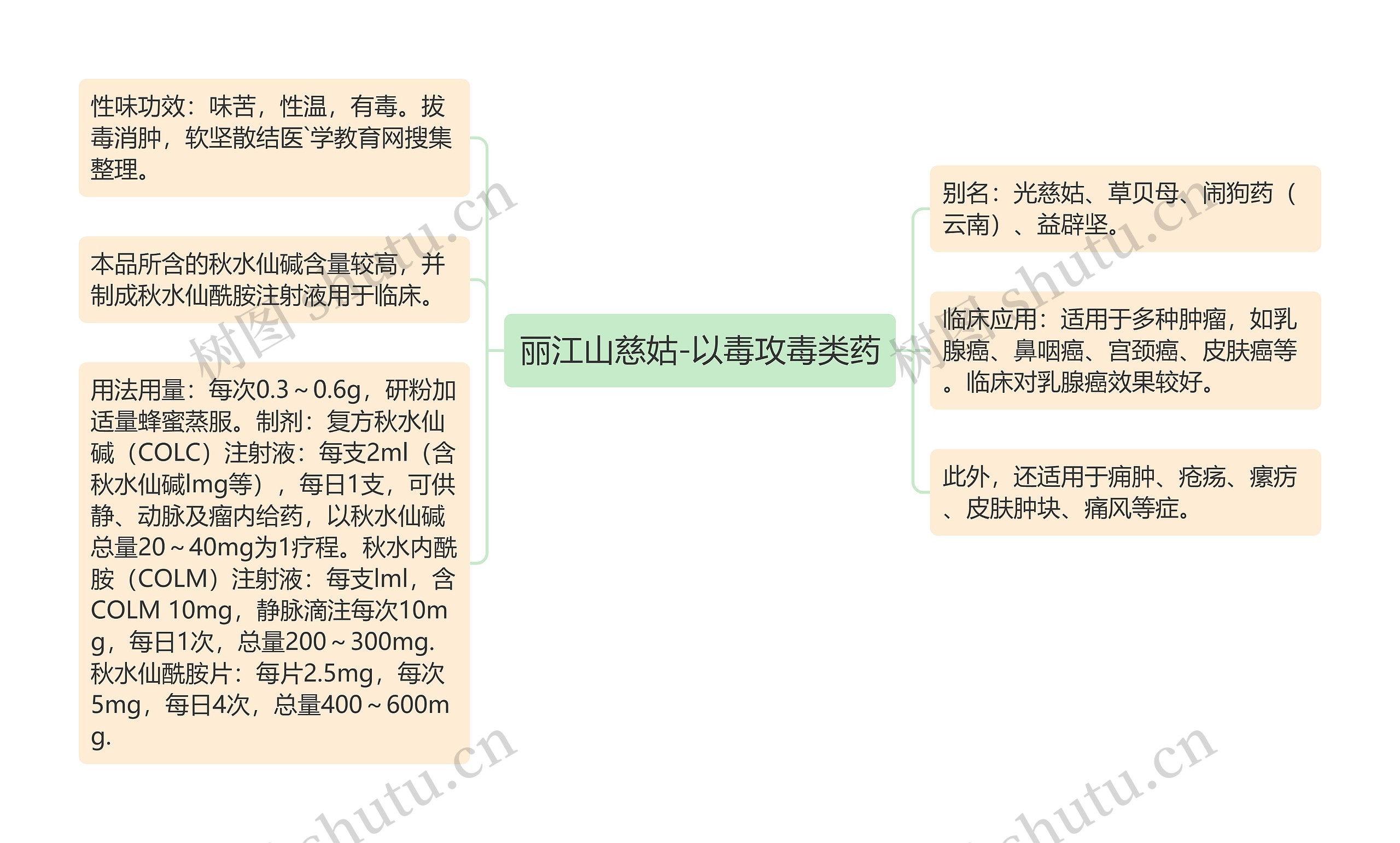 丽江山慈姑-以毒攻毒类药