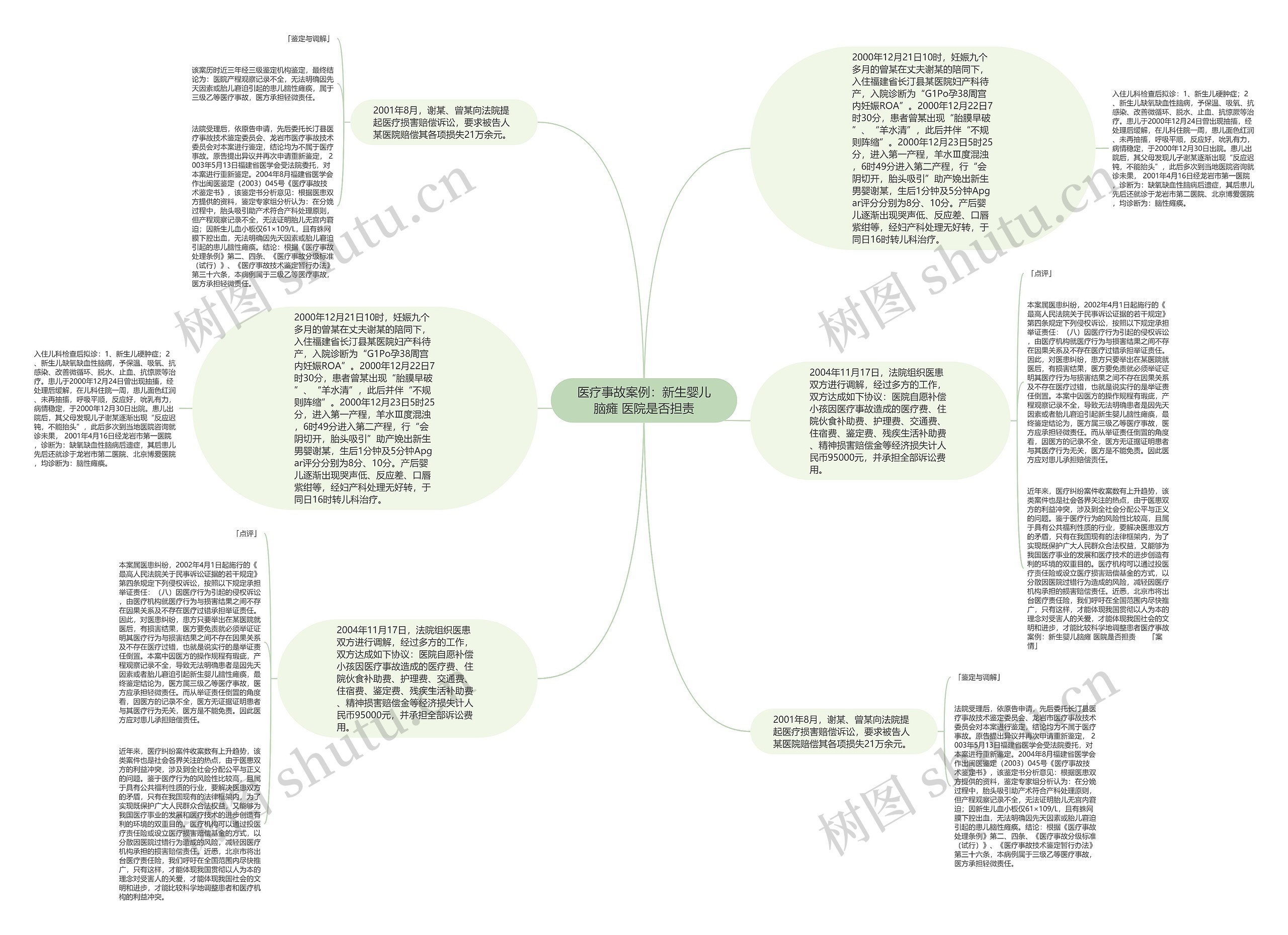 医疗事故案例：新生婴儿脑瘫 医院是否担责思维导图