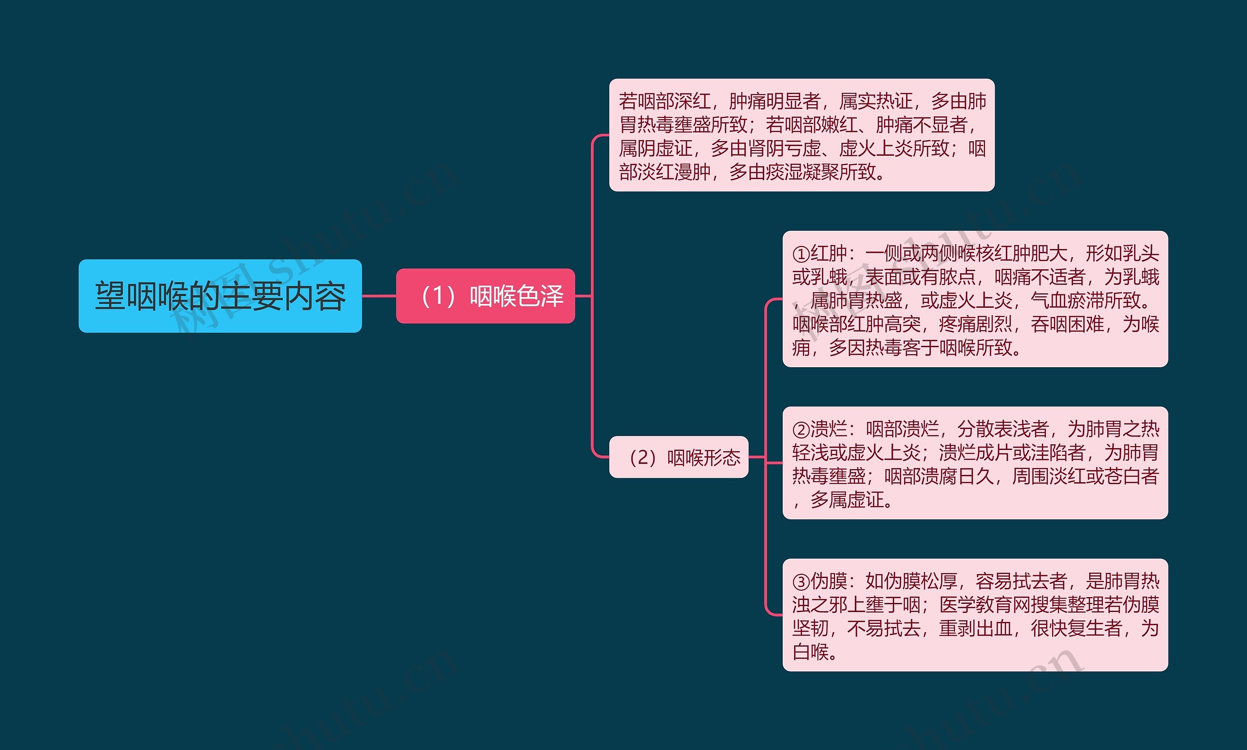 望咽喉的主要内容思维导图