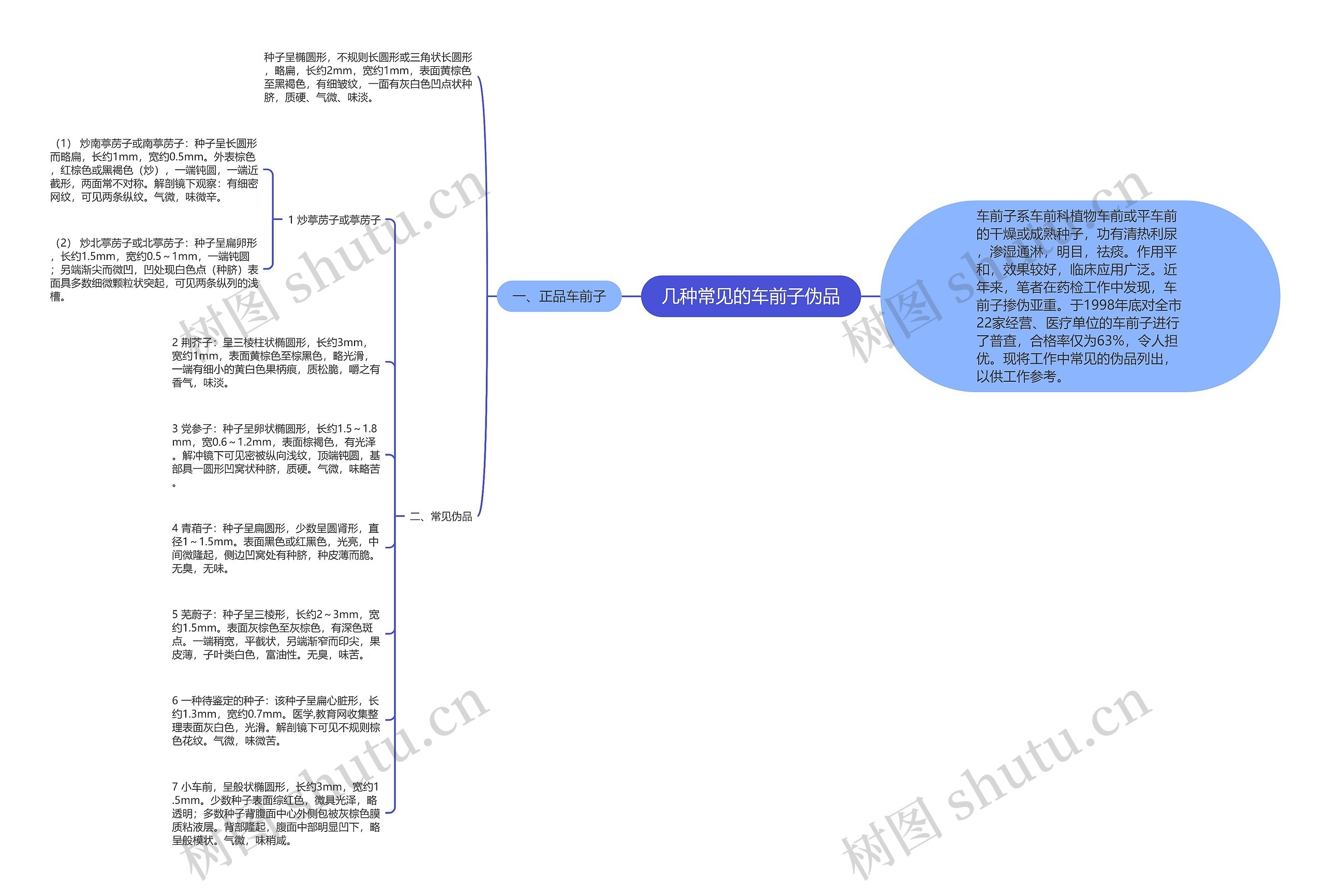 几种常见的车前子伪品思维导图