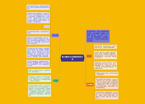 脏与腑的关系|阴阳表里关系