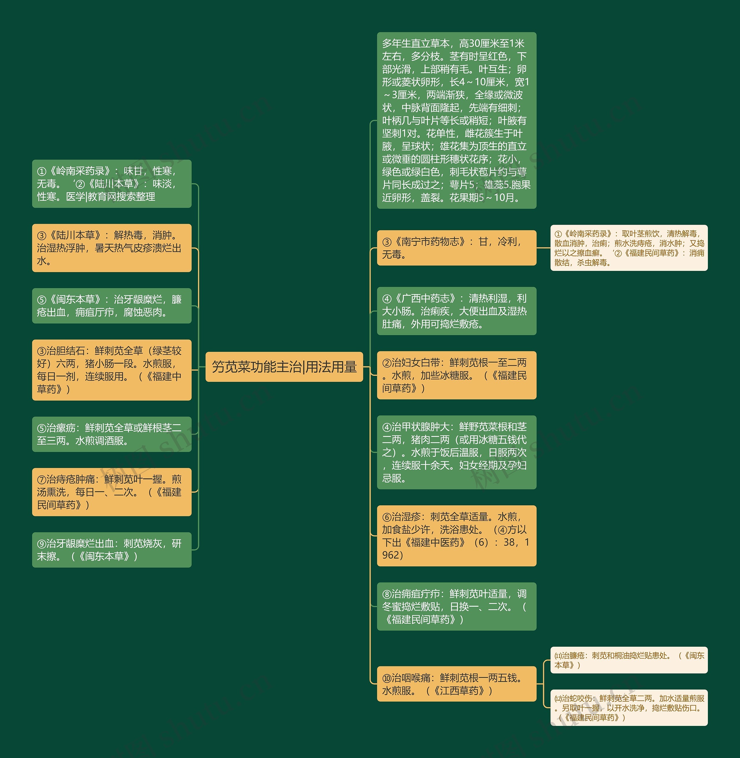 竻苋菜功能主治|用法用量思维导图