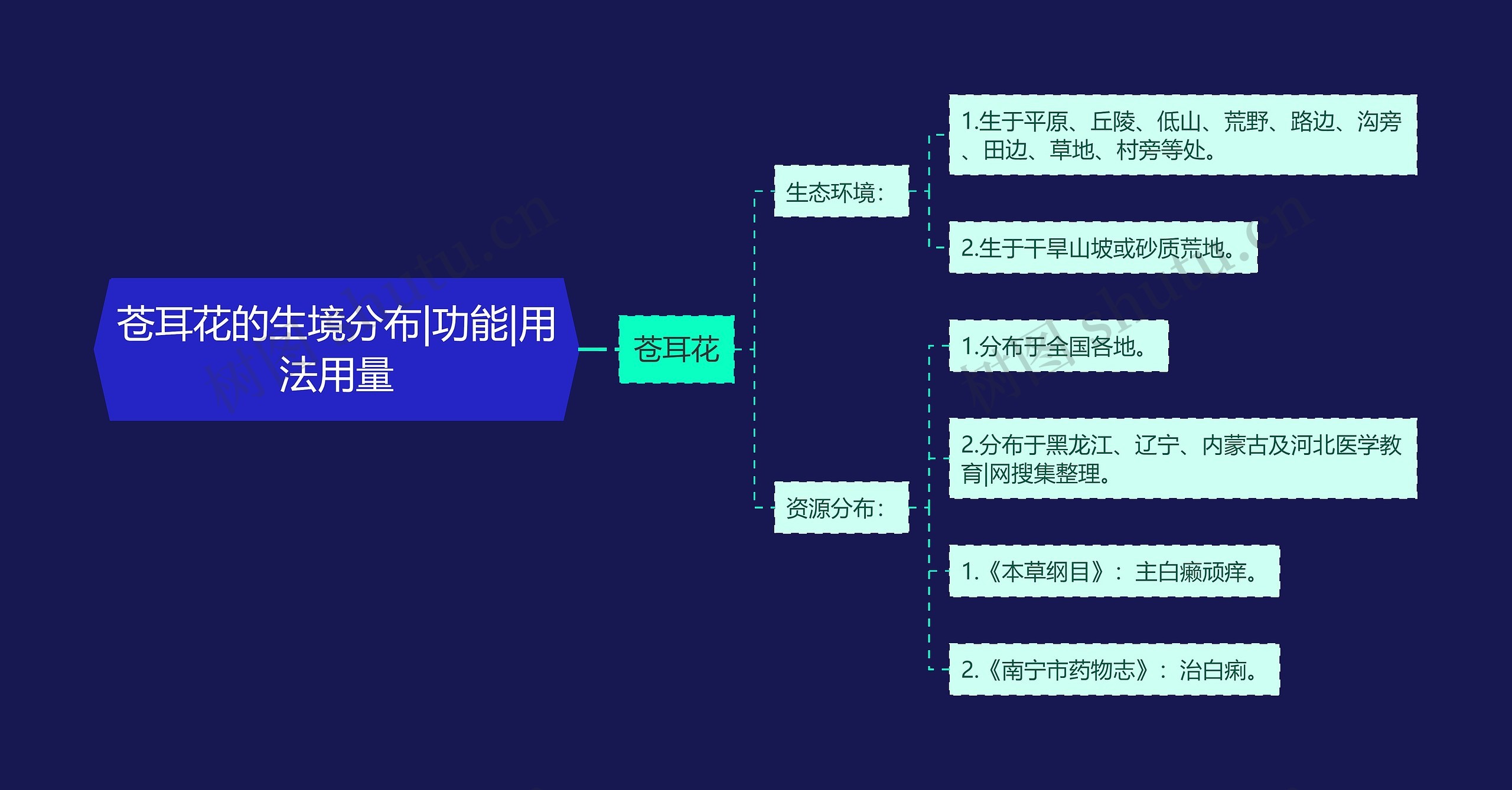 苍耳花的生境分布|功能|用法用量思维导图