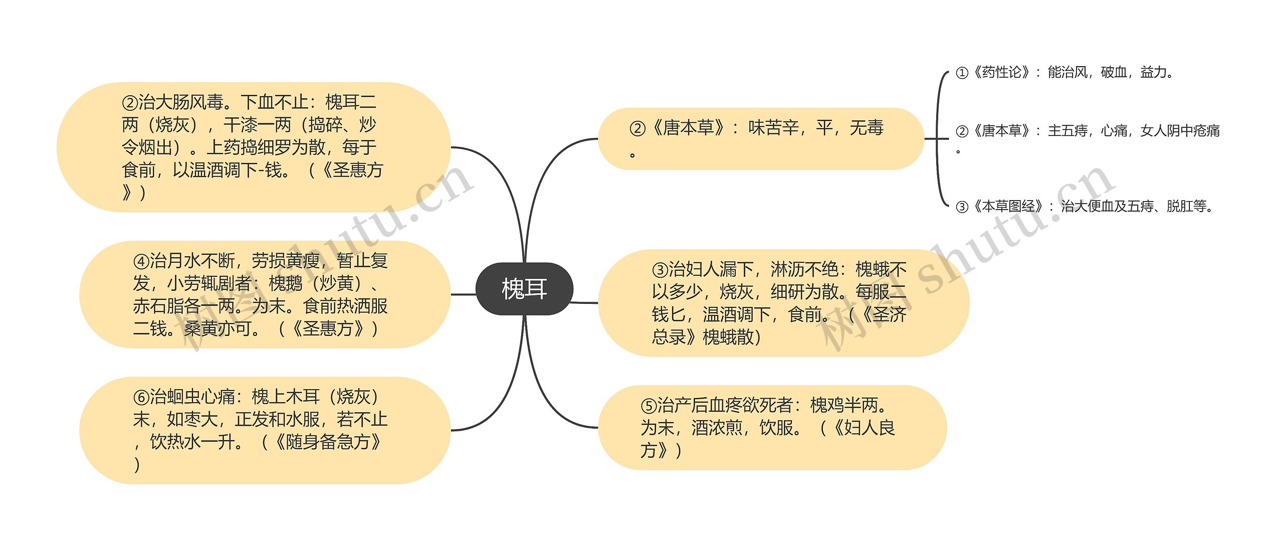 槐耳思维导图