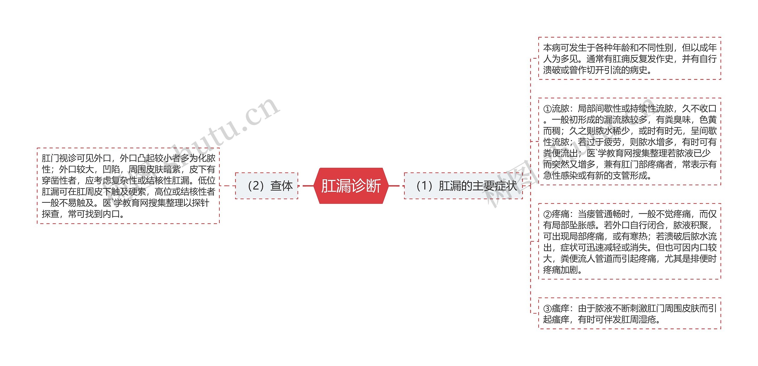 肛漏诊断