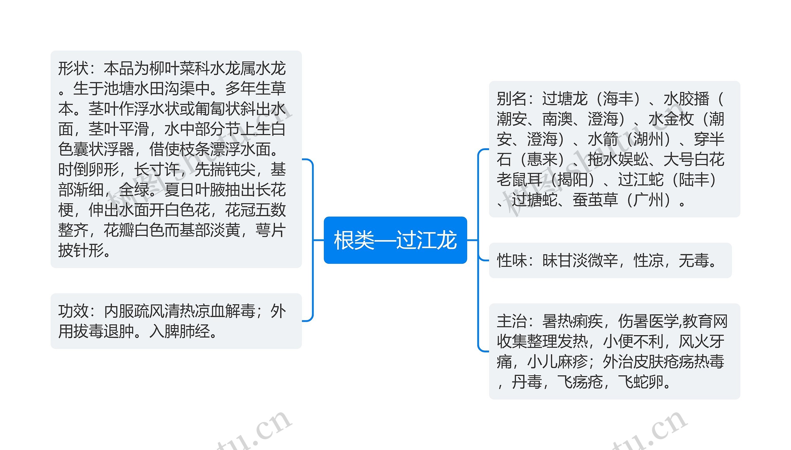 根类—过江龙思维导图