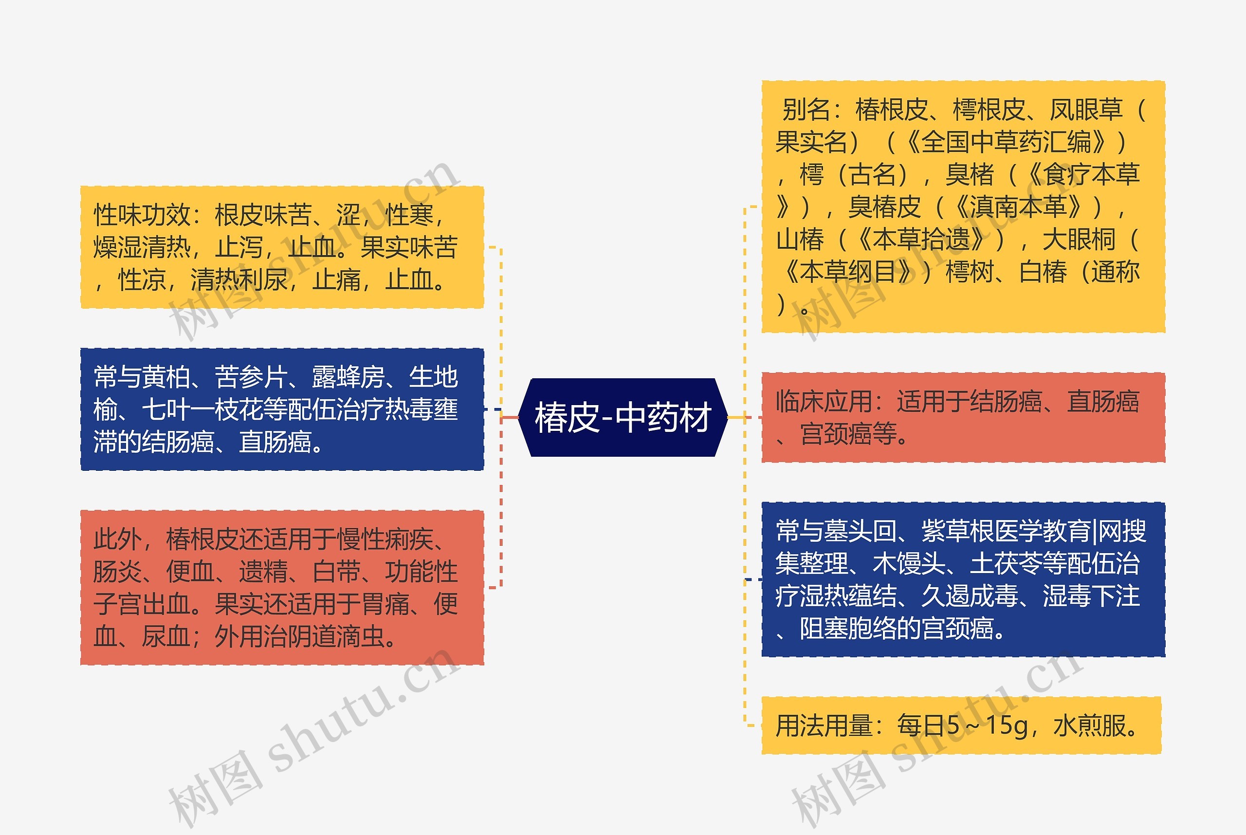 椿皮-中药材思维导图