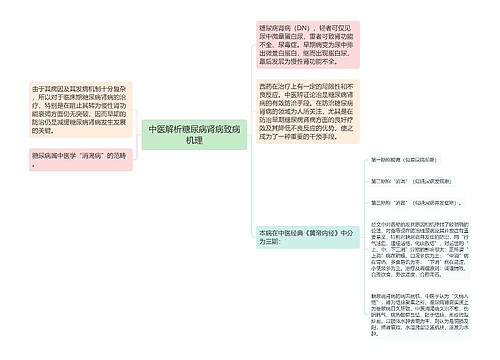 中医解析糖尿病肾病致病机理