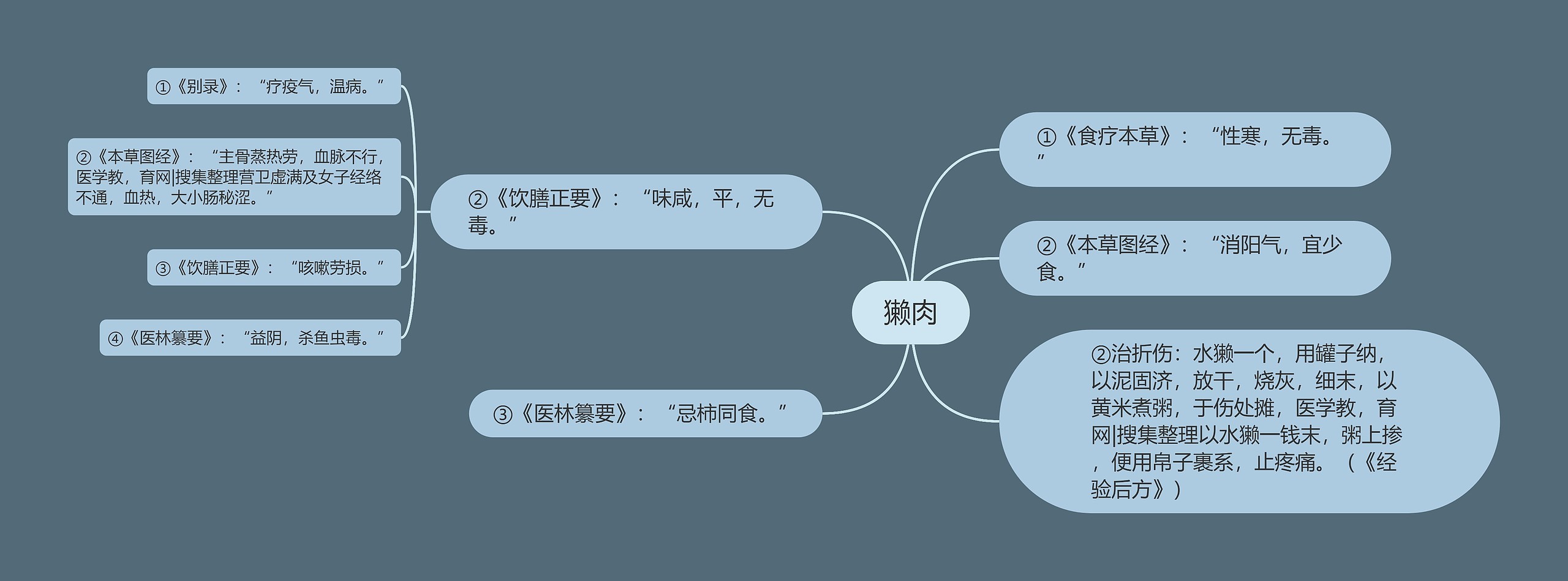 獭肉思维导图