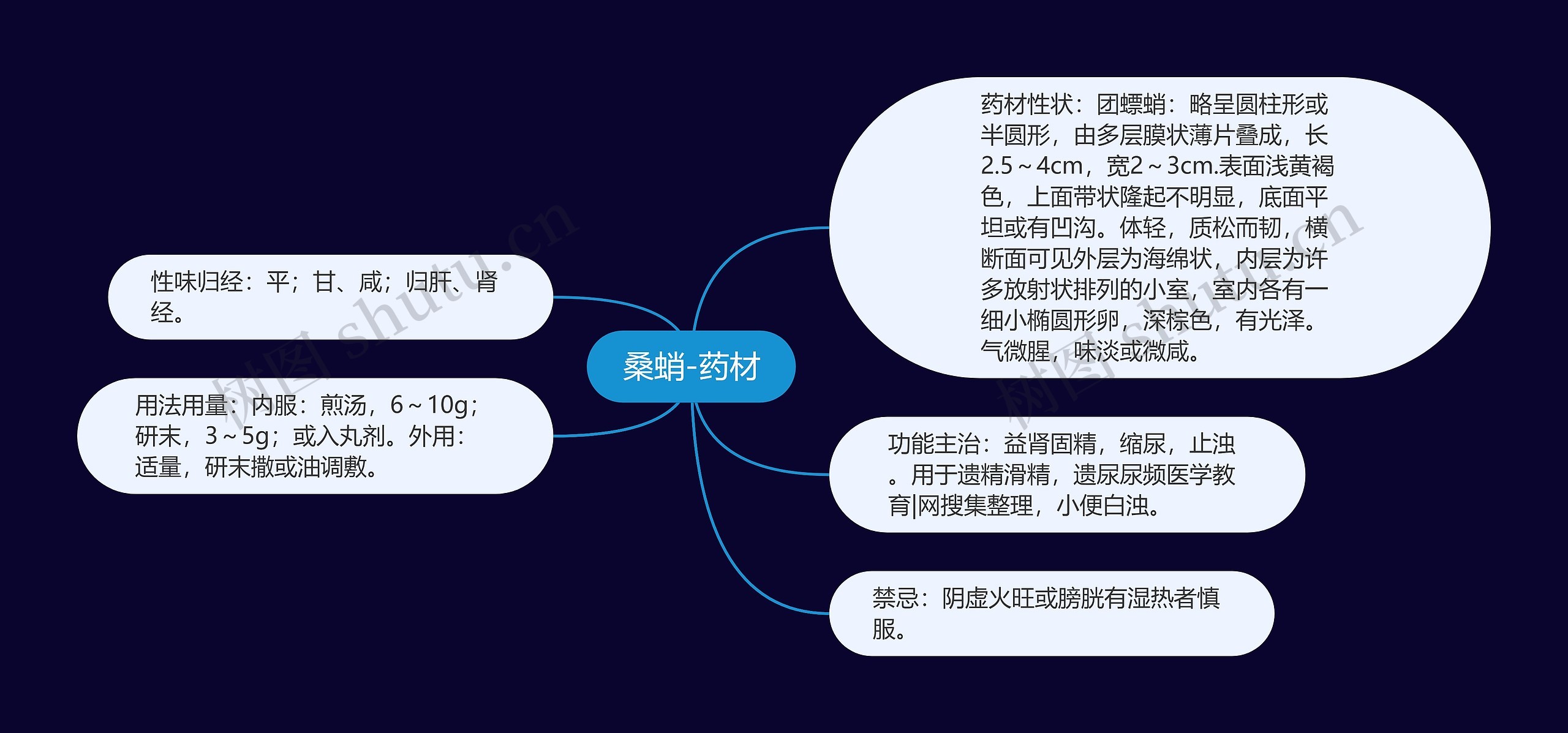 桑蛸-药材 桑蛸-药材