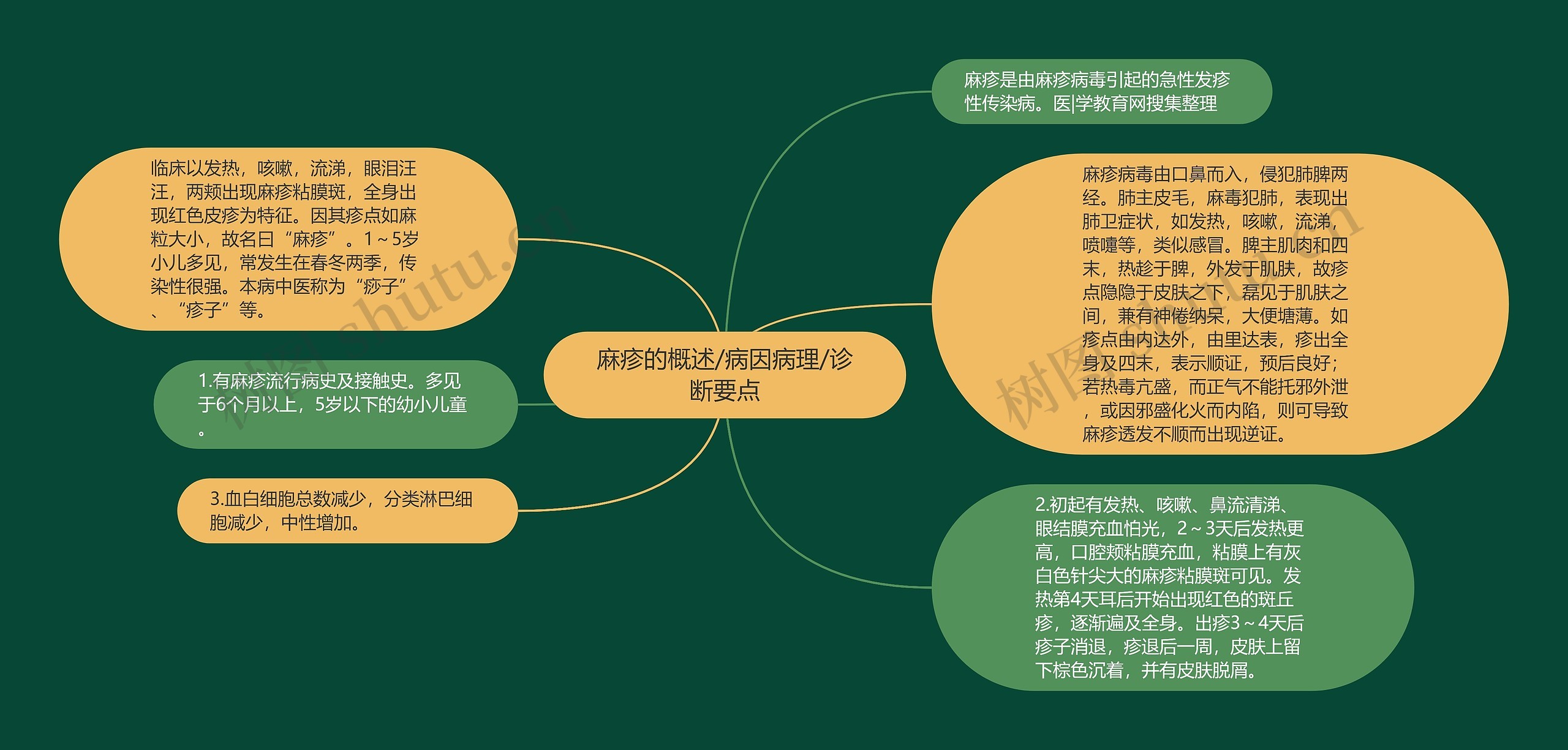 麻疹的概述/病因病理/诊断要点思维导图