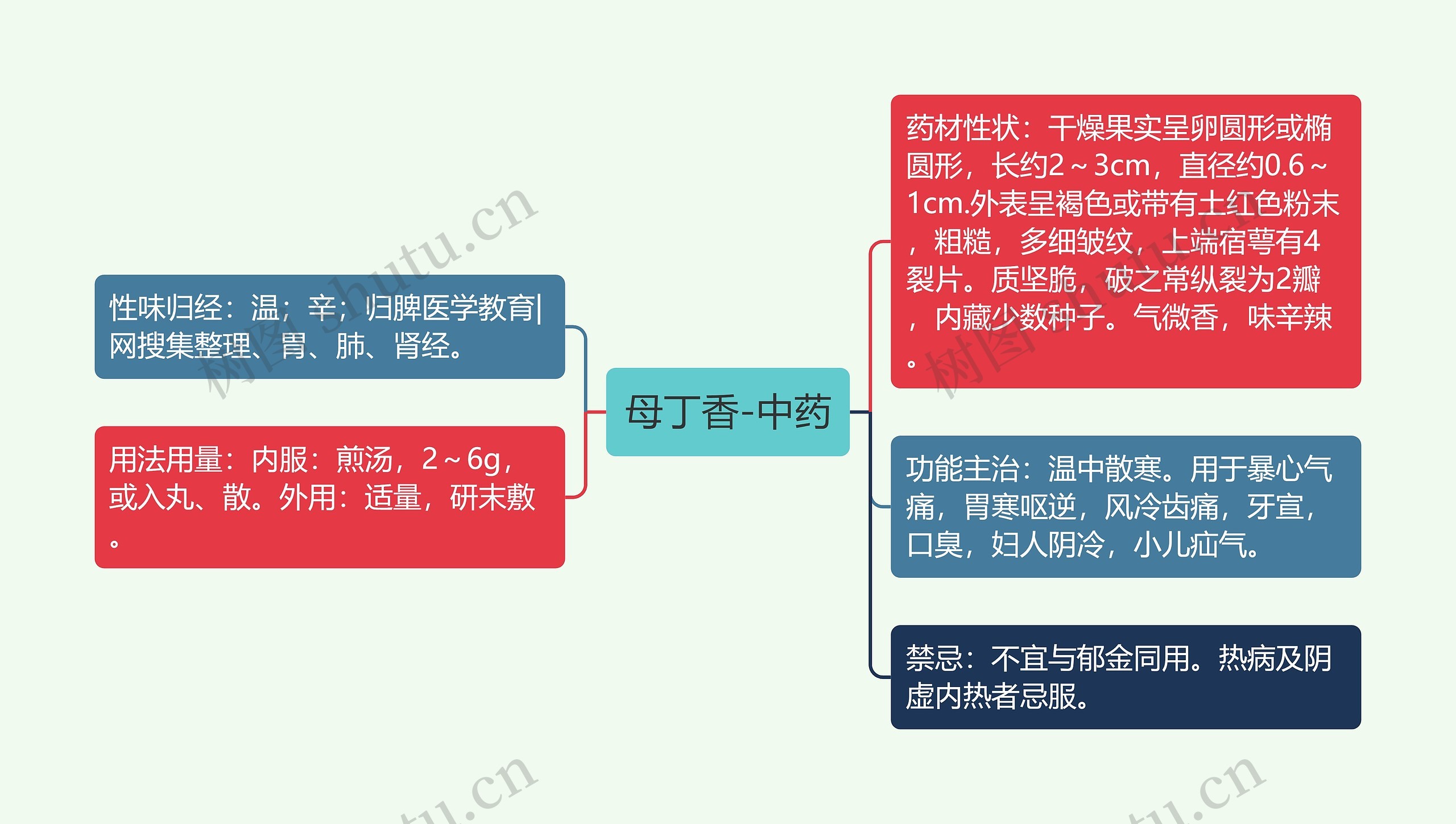 母丁香-中药思维导图