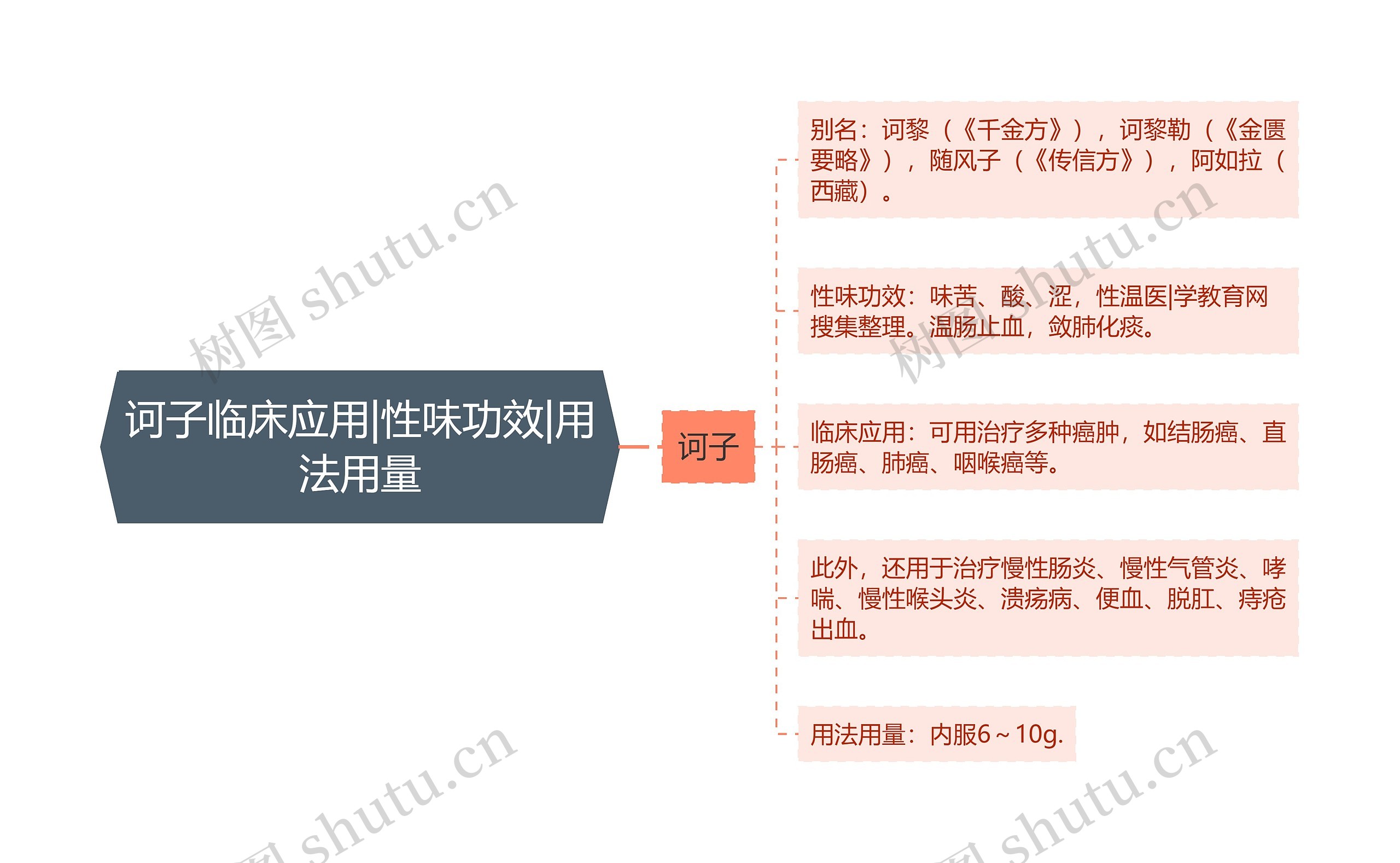 诃子临床应用|性味功效|用法用量思维导图