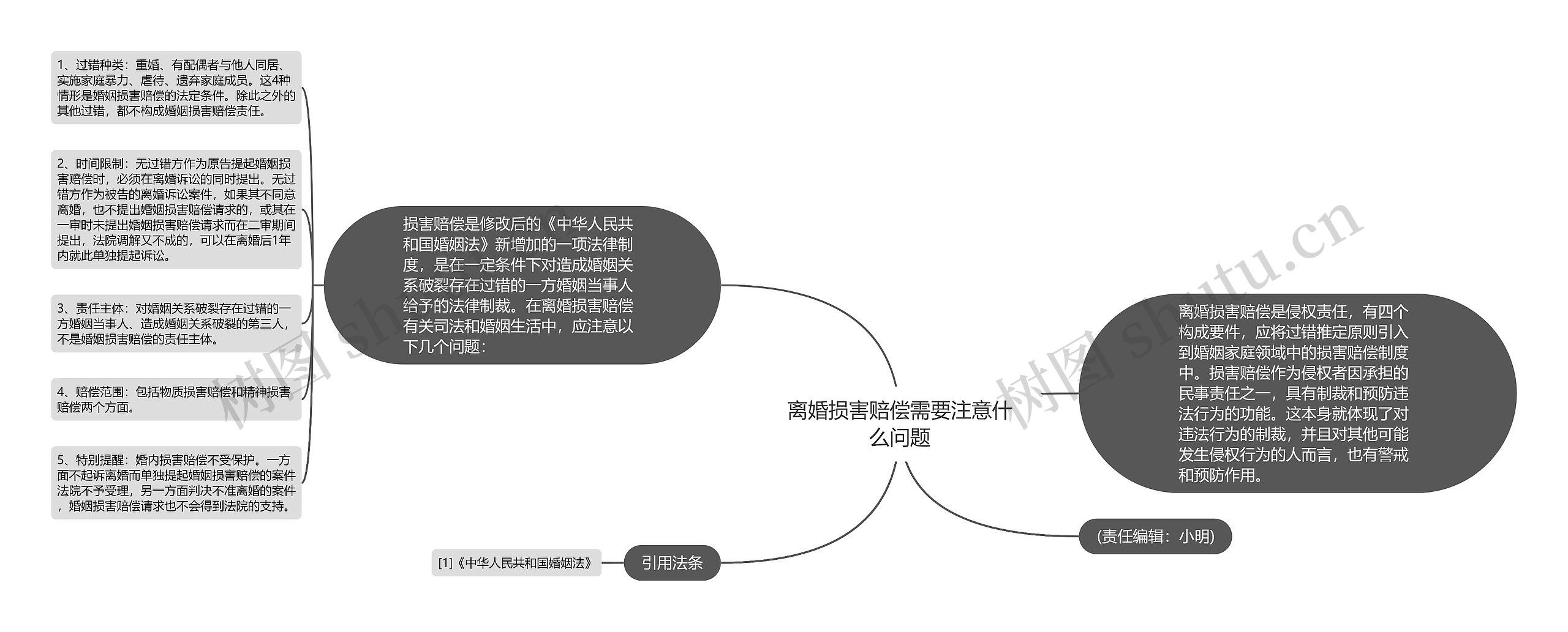 离婚损害赔偿需要注意什么问题思维导图