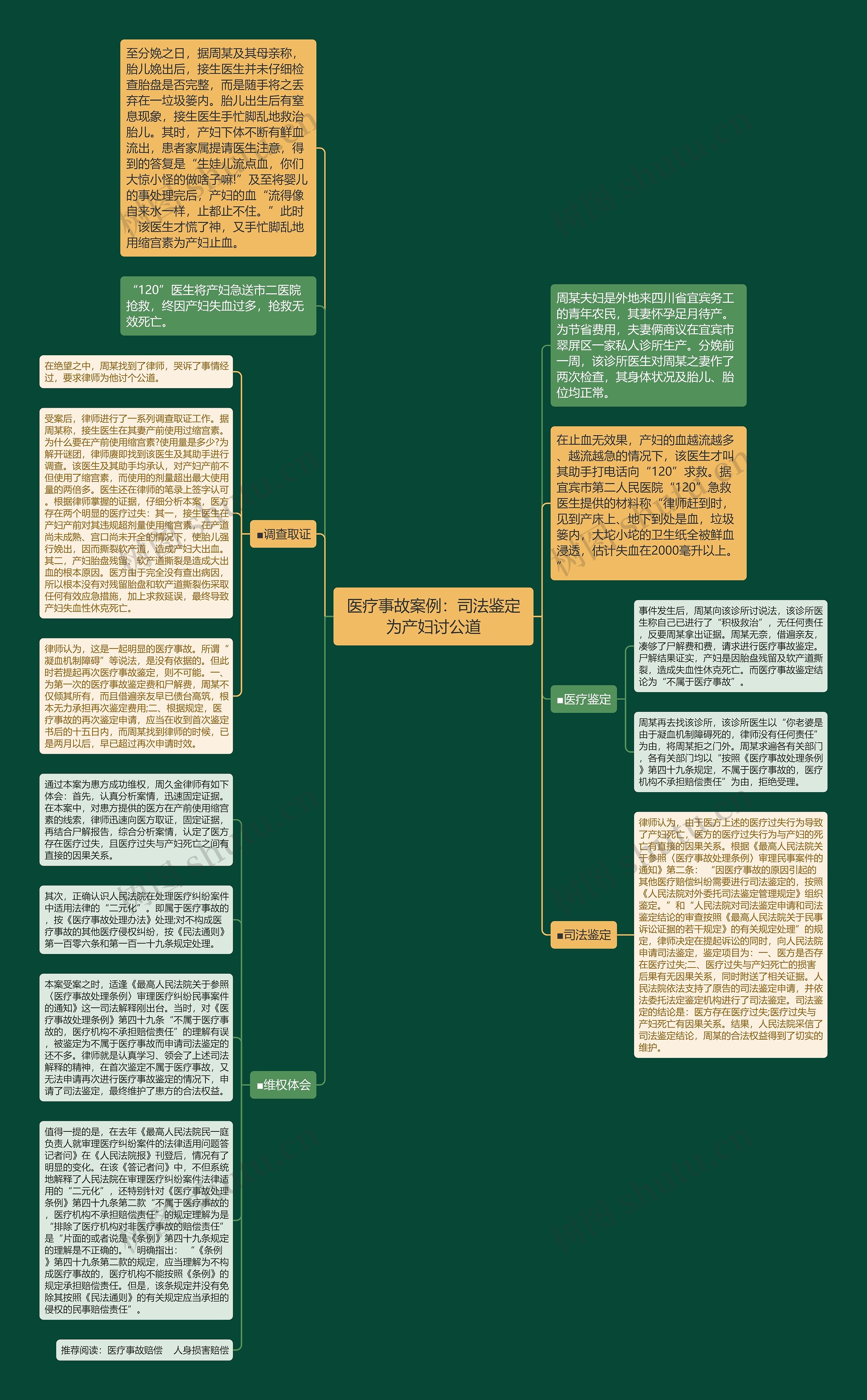 医疗事故案例：司法鉴定为产妇讨公道思维导图