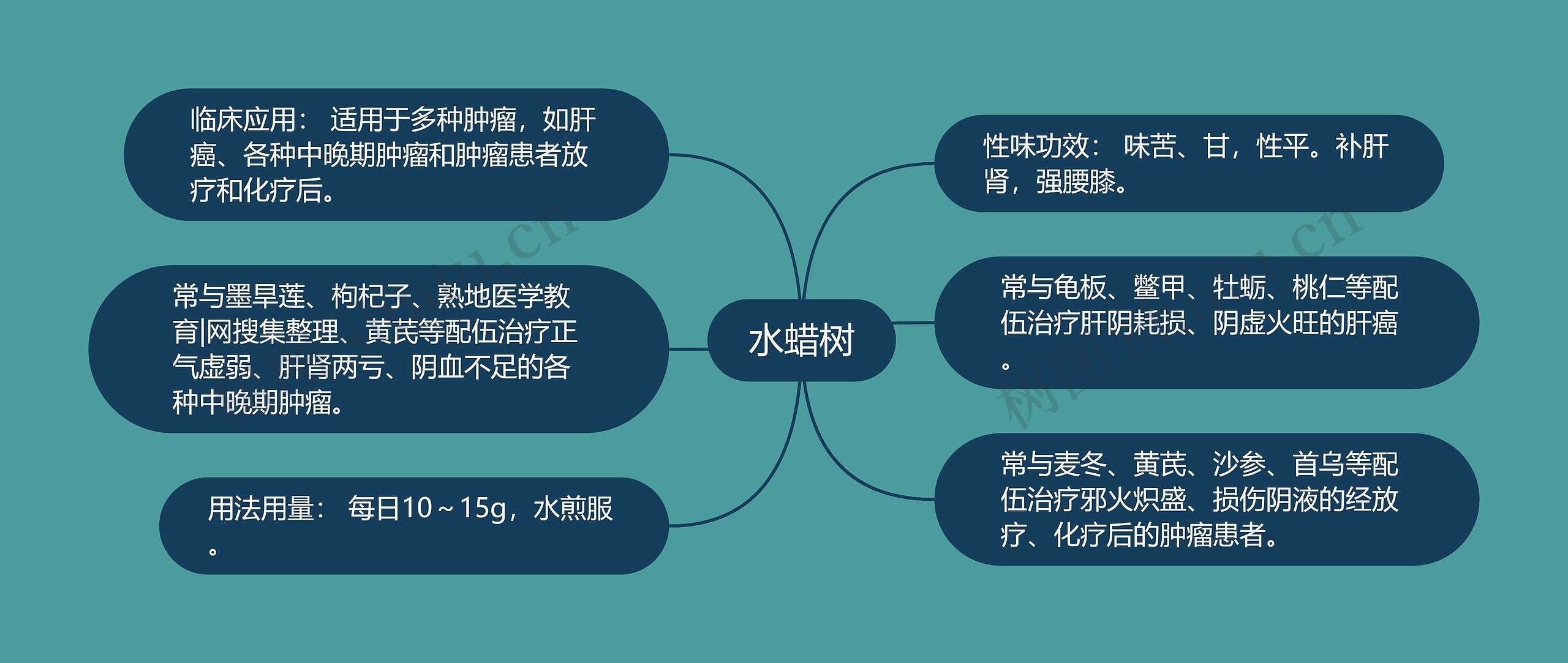 水蜡树思维导图