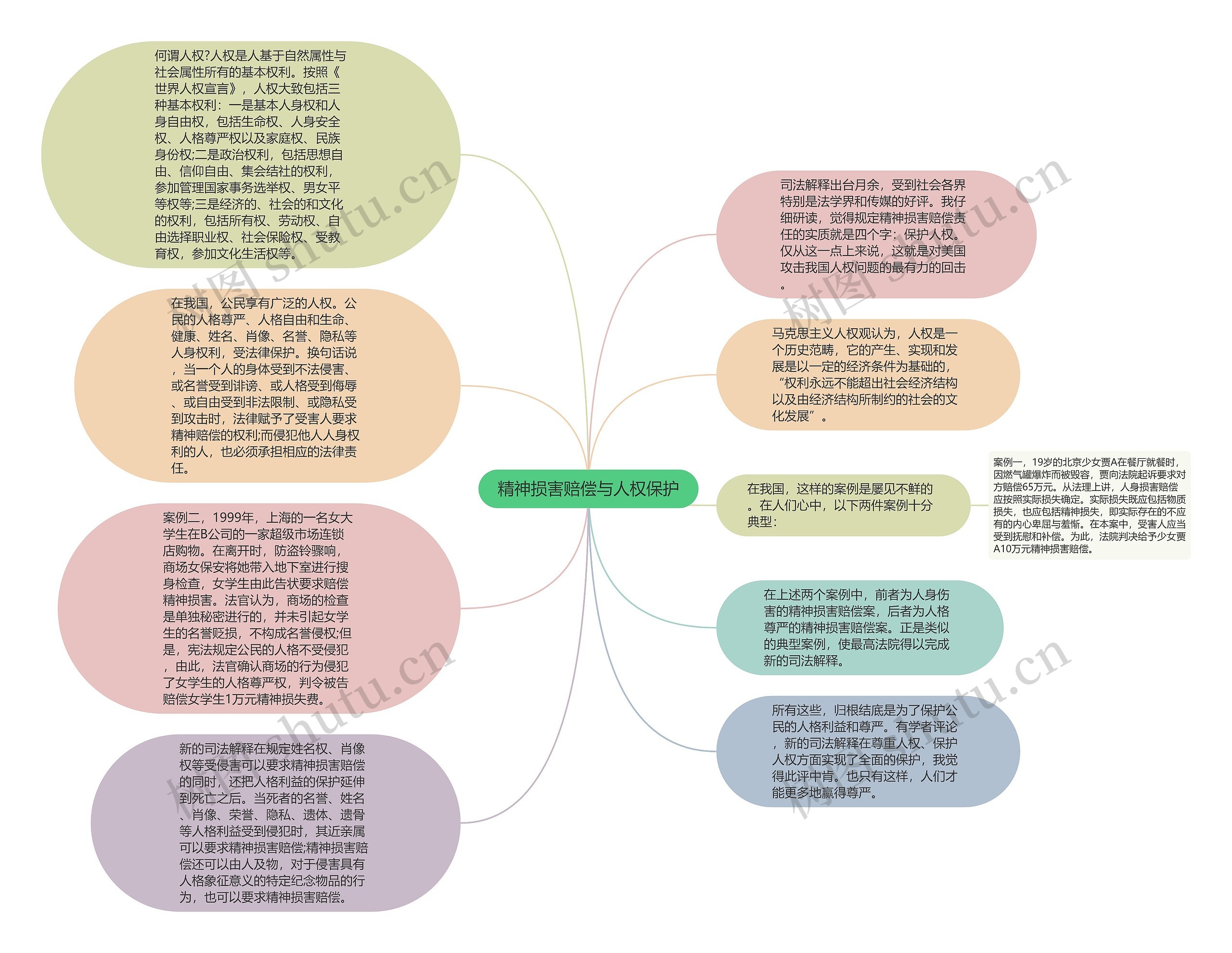 精神损害赔偿与人权保护