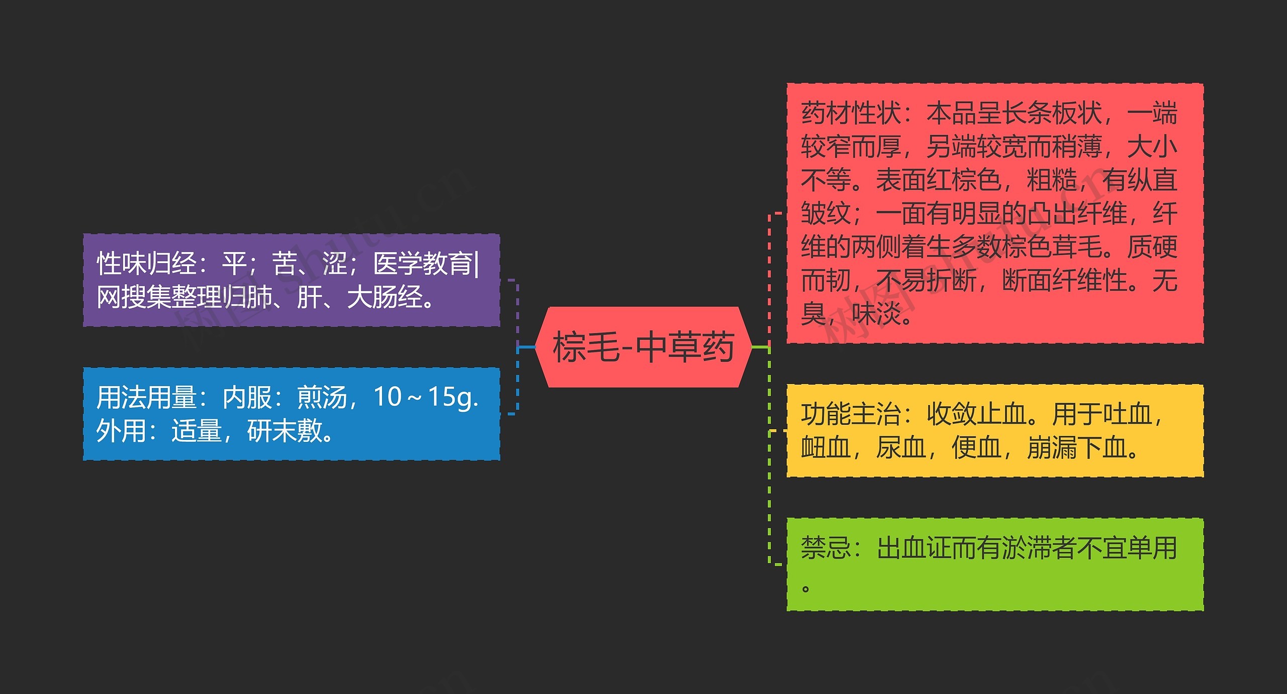 棕毛-中草药思维导图