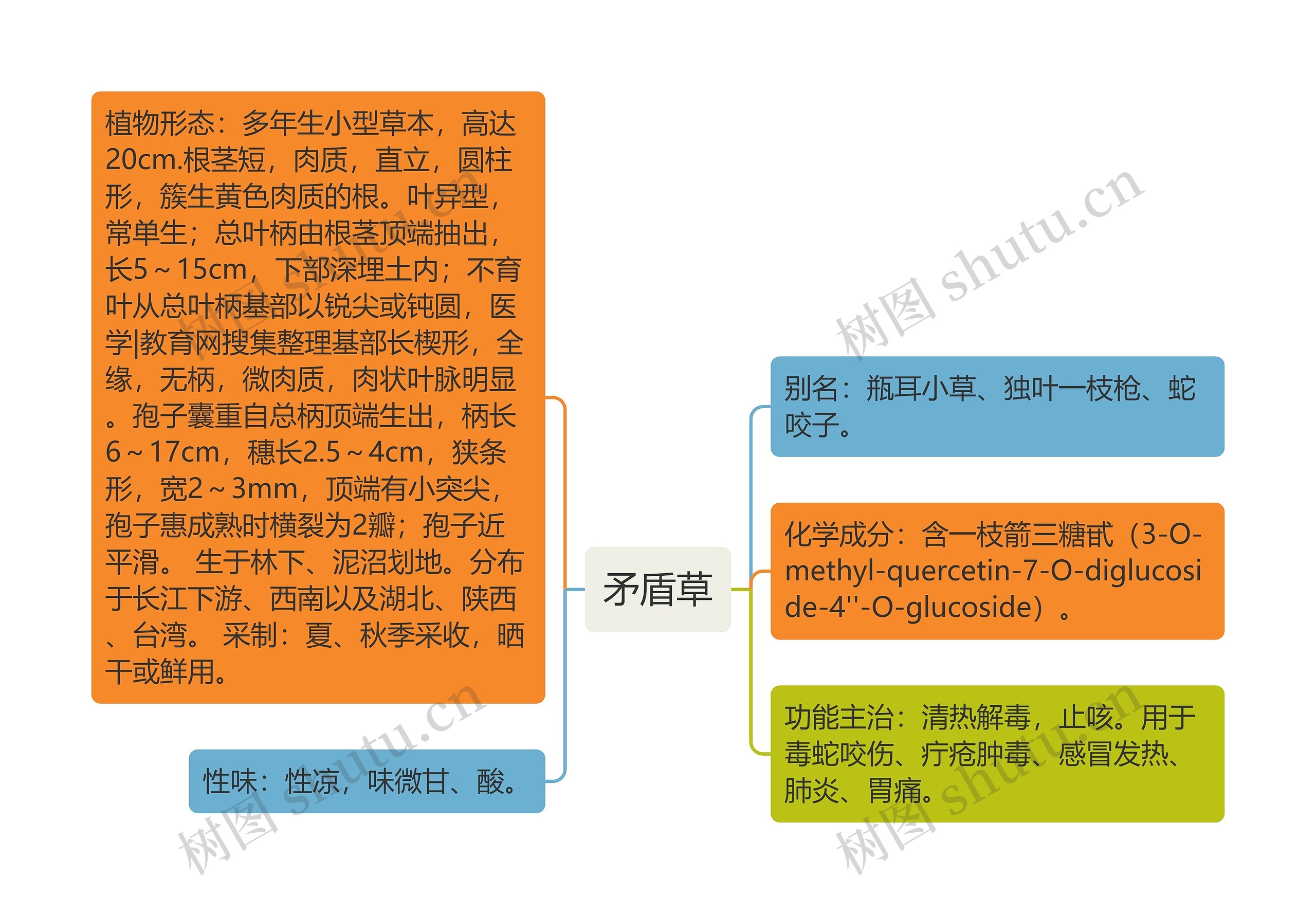 矛盾草思维导图