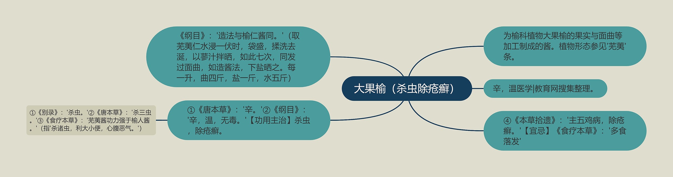 大果榆（杀虫除疮癣）思维导图