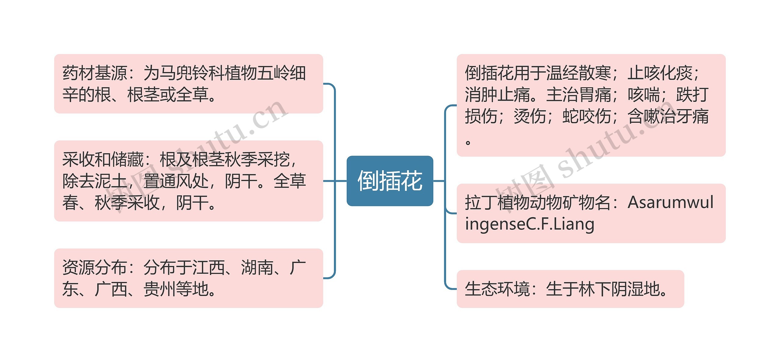 倒插花思维导图