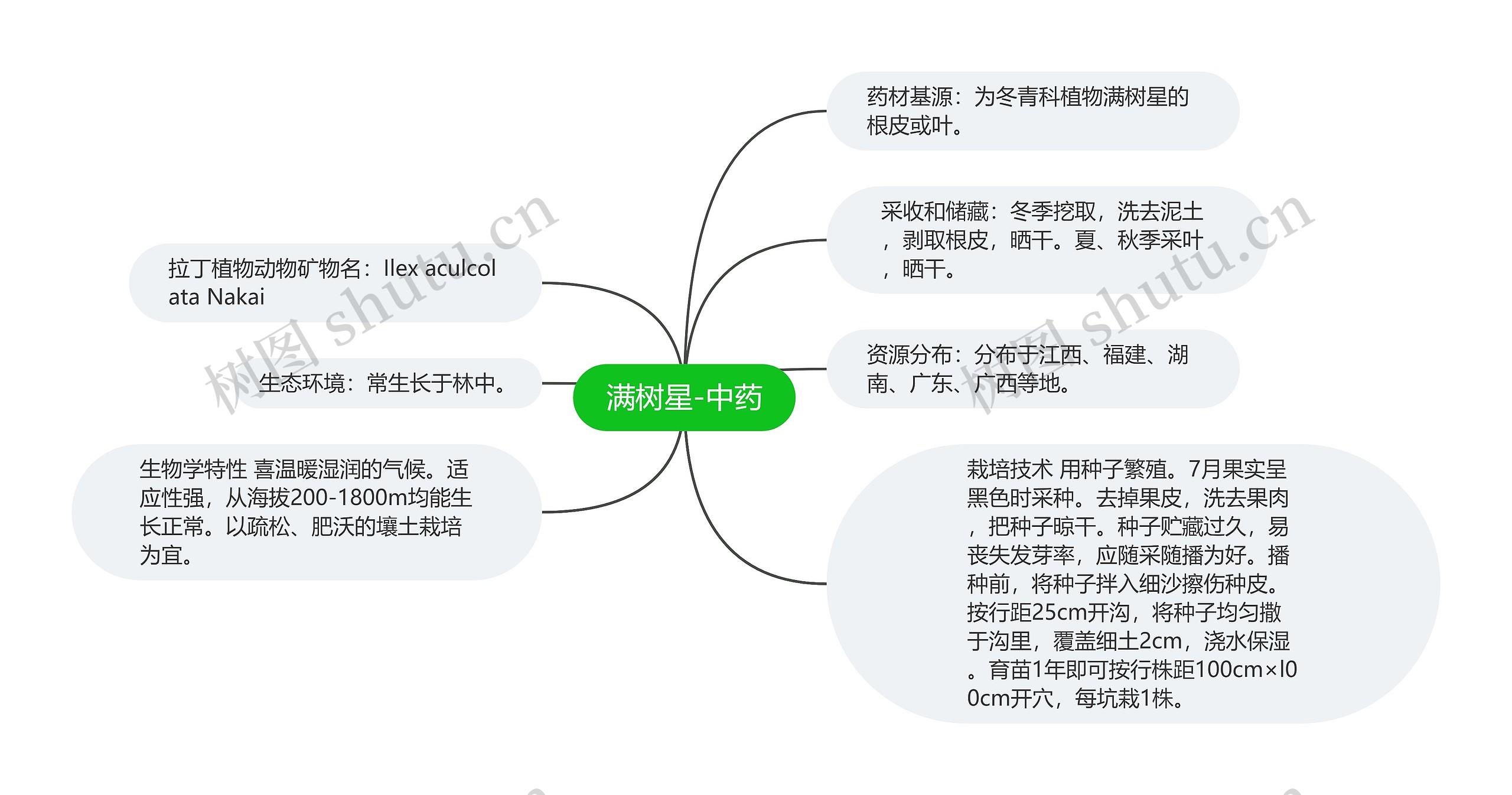 满树星-中药 满树星-中药