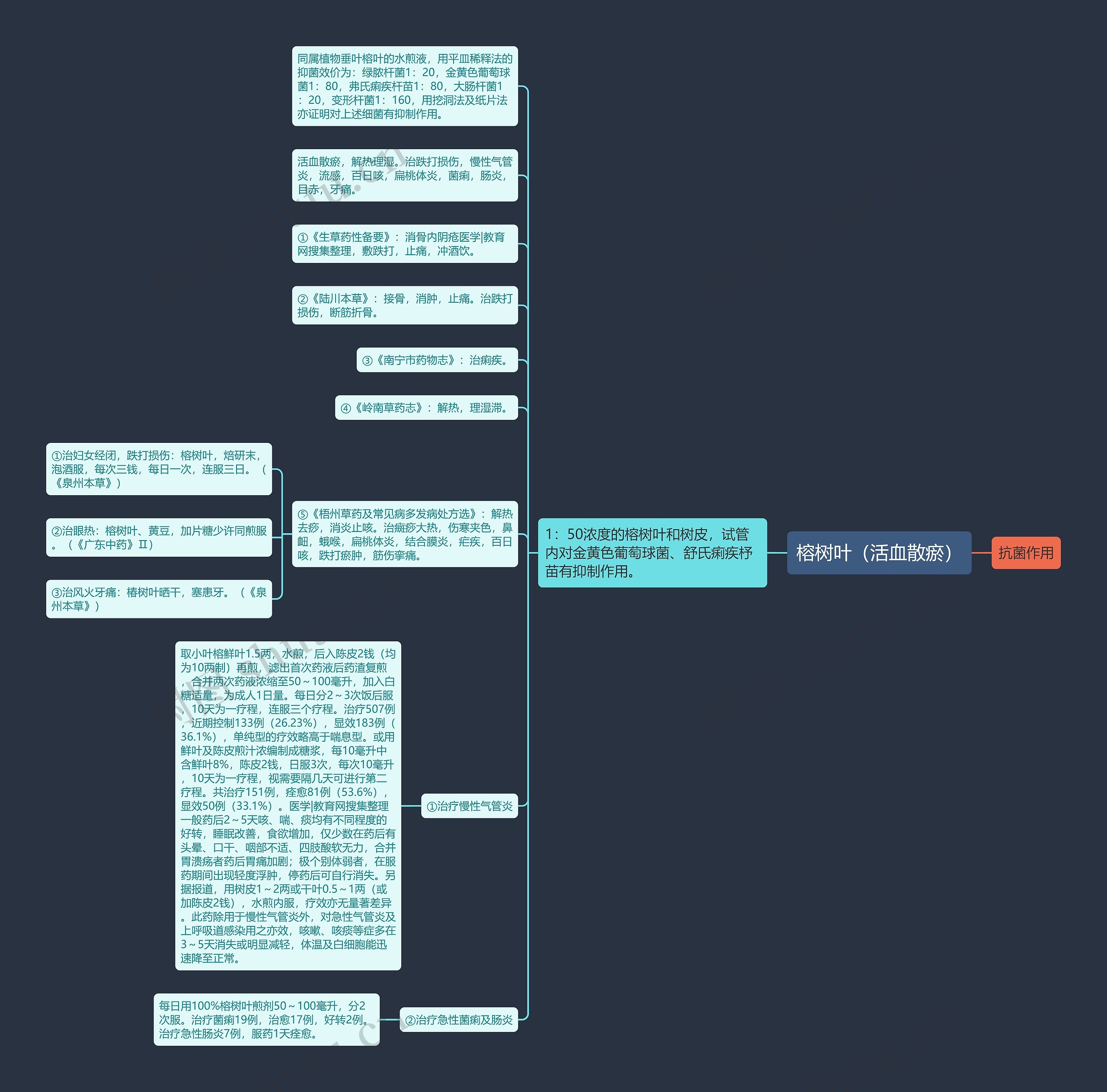 榕树叶（活血散瘀）思维导图