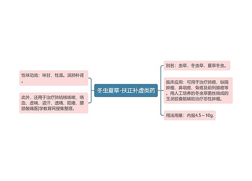 冬虫夏草-扶正补虚类药