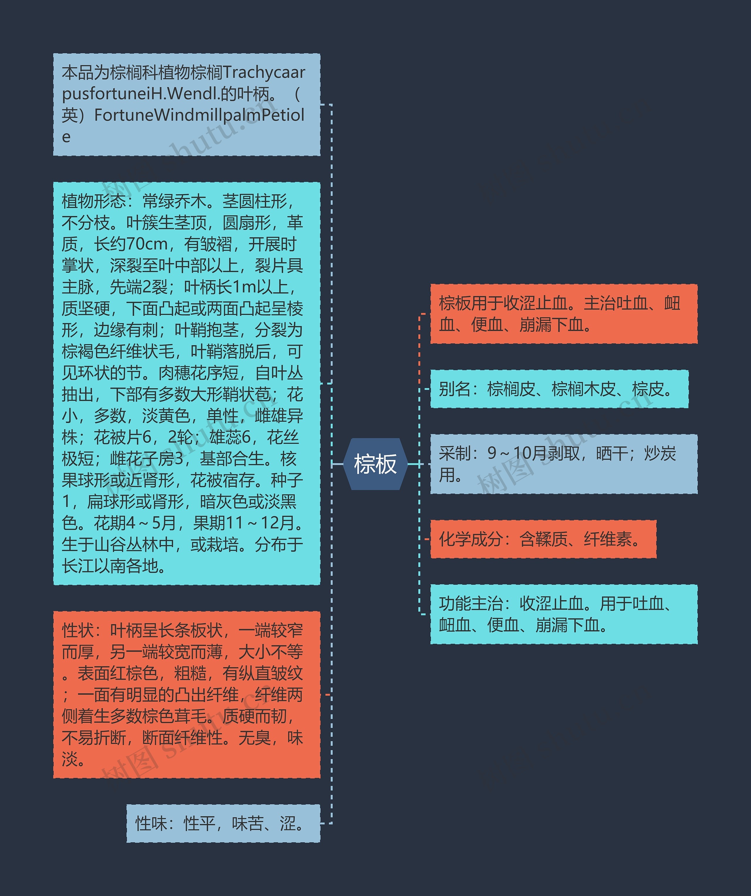 棕板思维导图