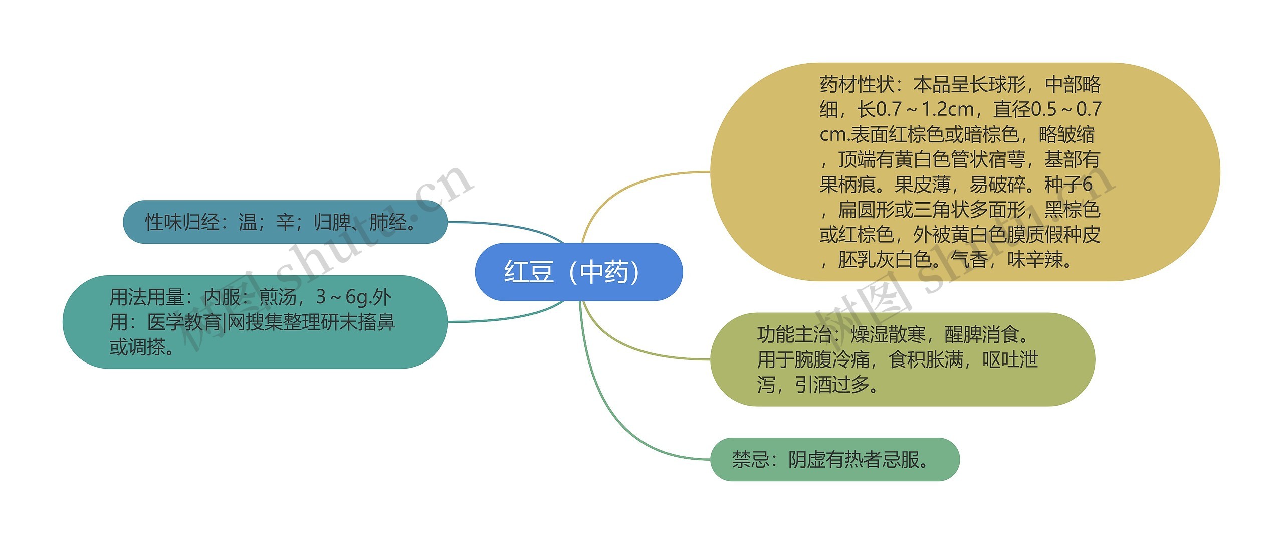 药用植物学思维导图图片