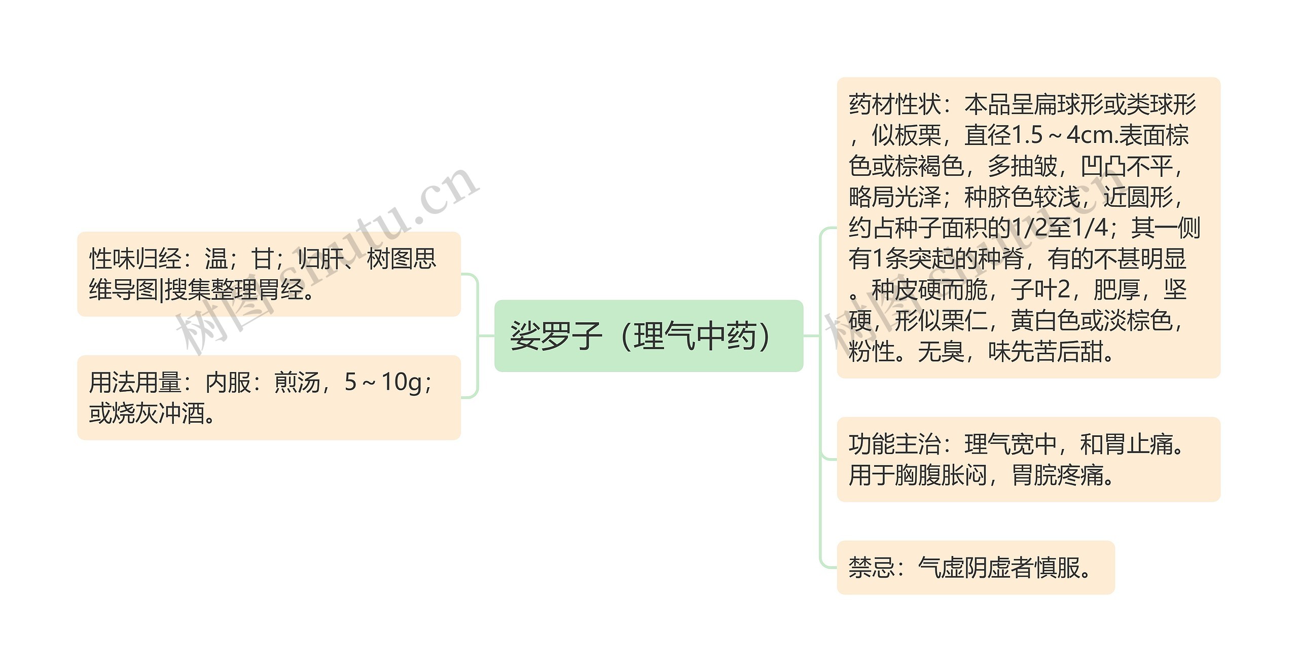 娑罗子（理气中药）思维导图