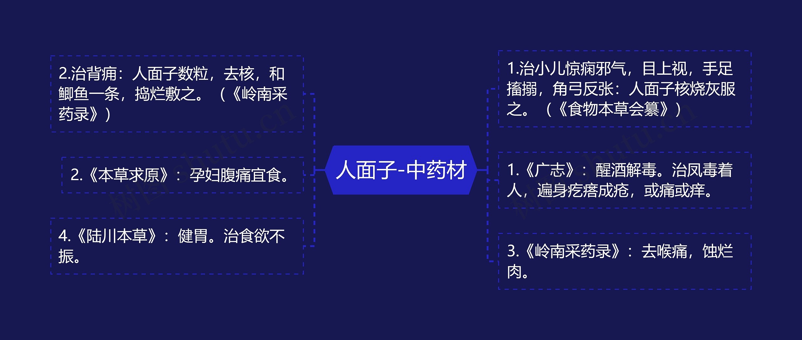 人面子-中药材 人面子-中药材