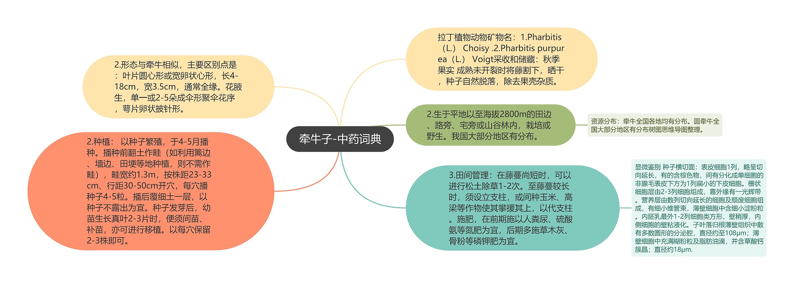 牵牛子-中药词典思维导图