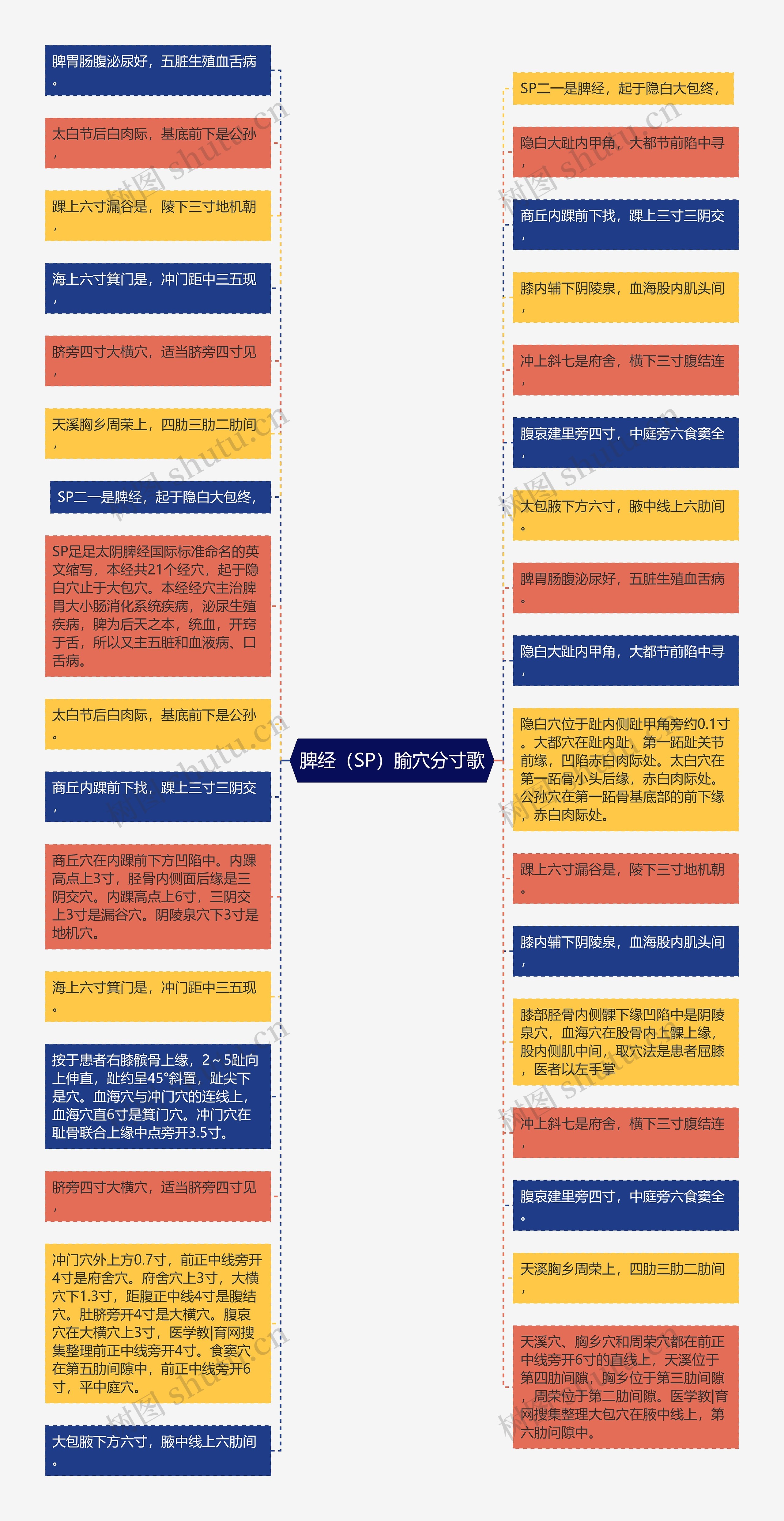 脾经（SP）腧穴分寸歌思维导图