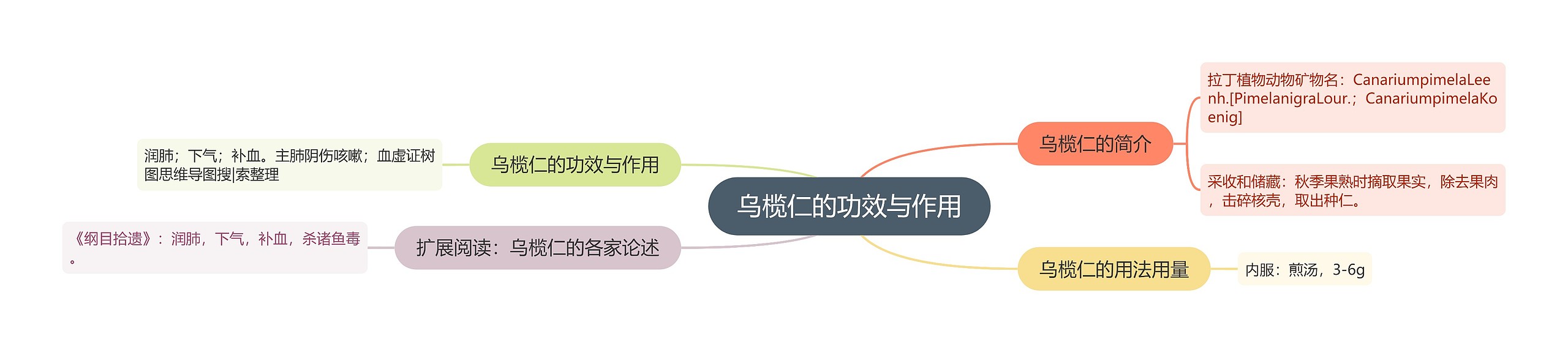 乌榄仁的功效与作用 乌榄仁的功效与作用