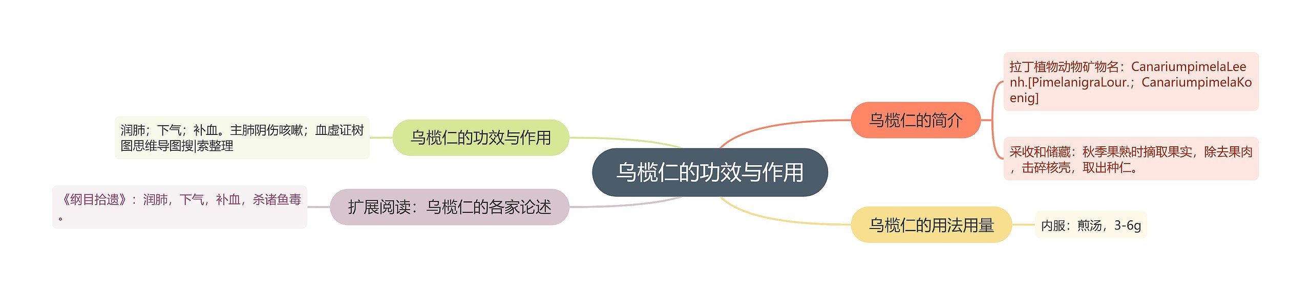 乌榄仁的功效与作用思维导图
