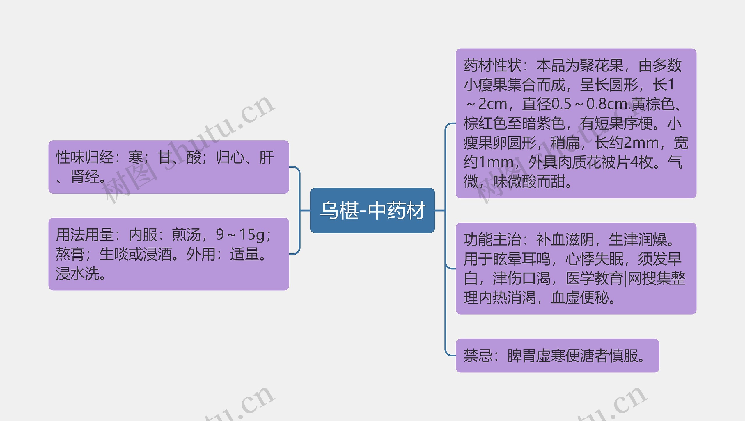 乌椹-中药材思维导图