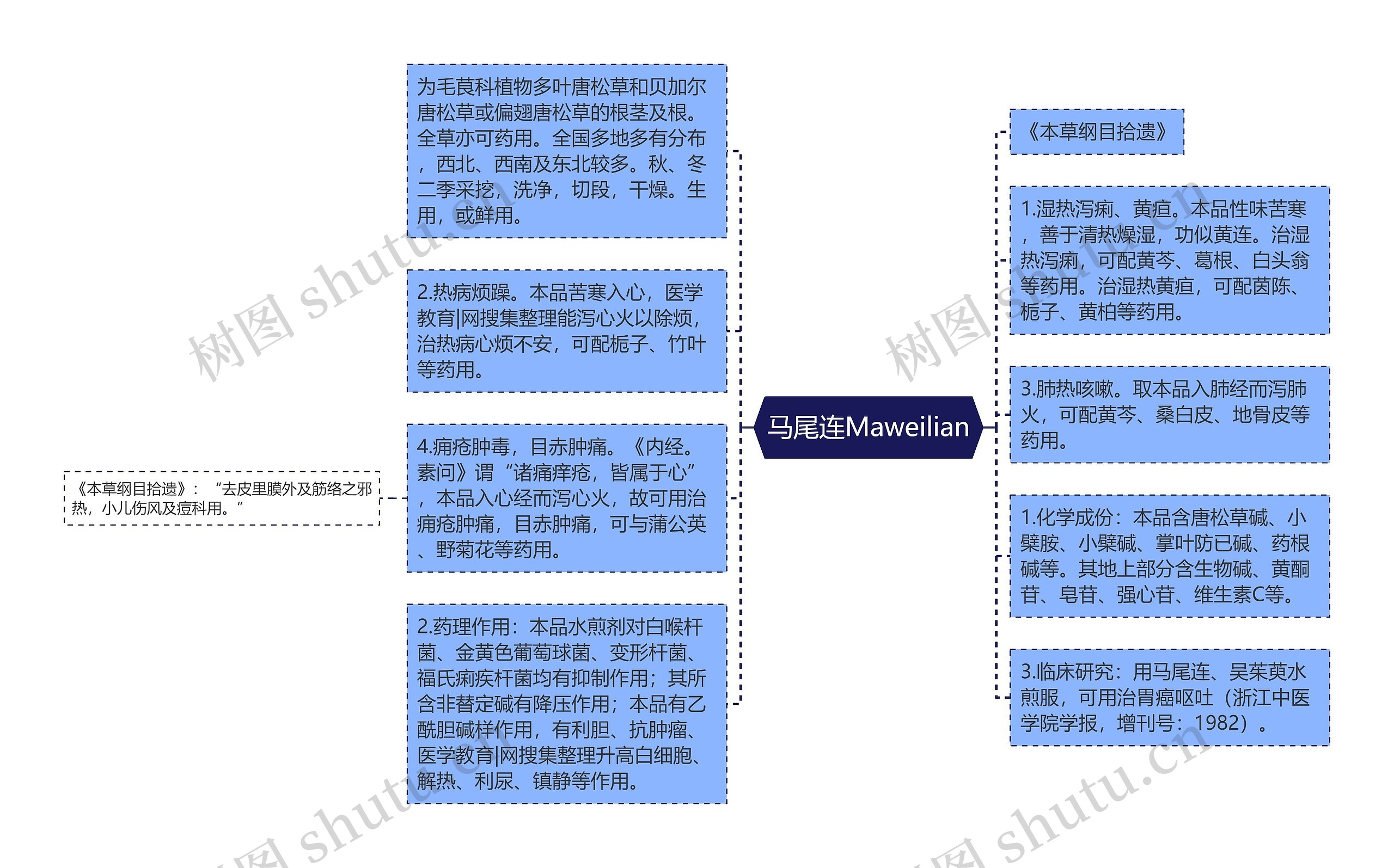 马尾连Maweilian思维导图