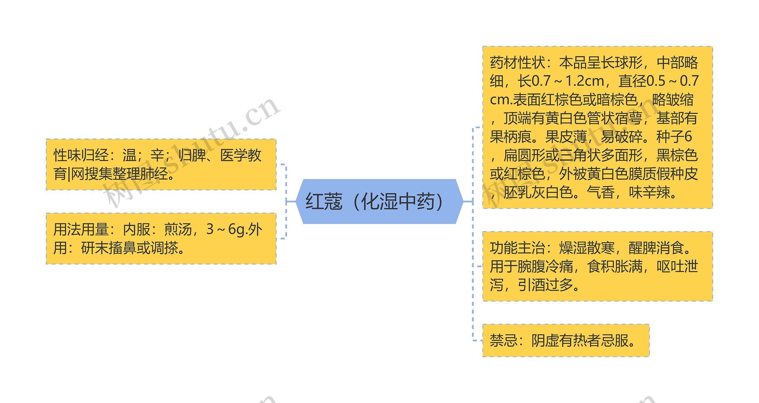 红蔻（化湿中药）思维导图