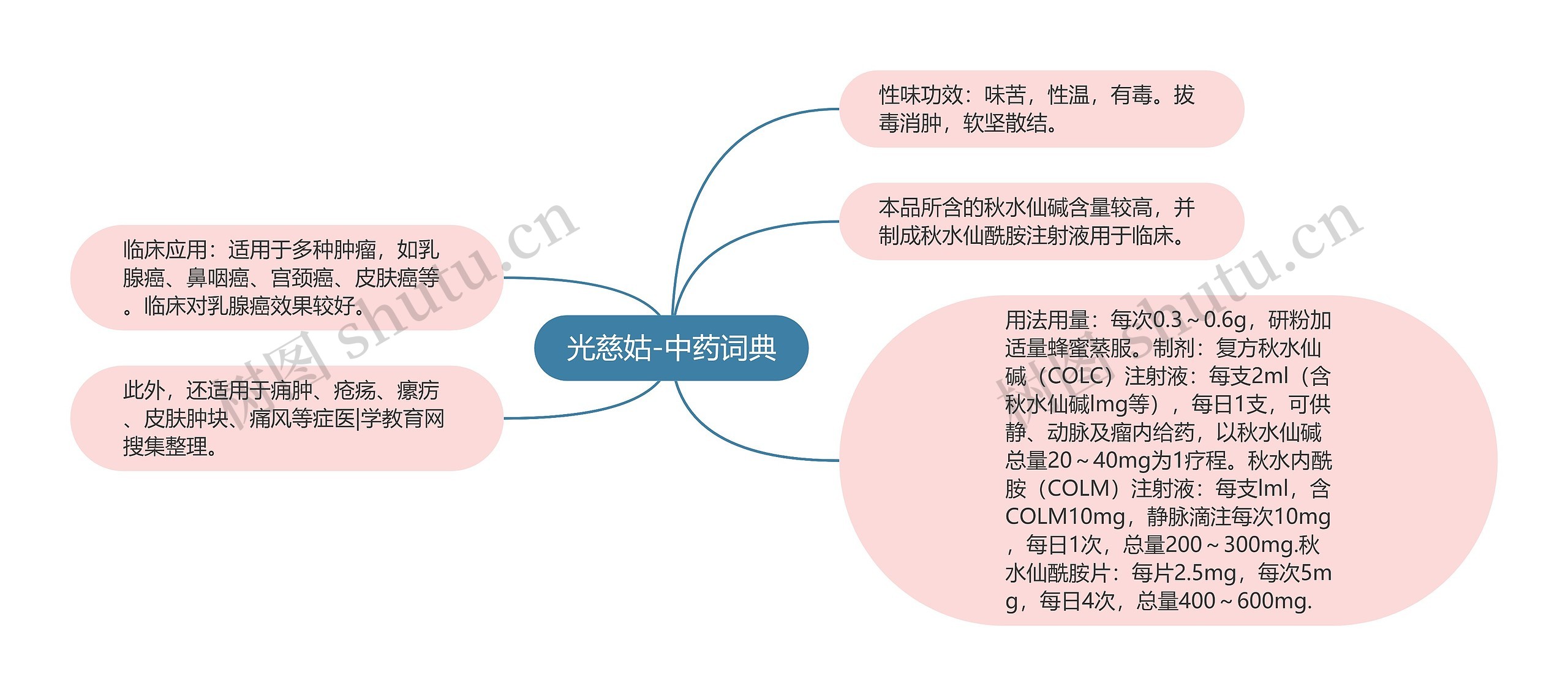 光慈姑-中药词典思维导图